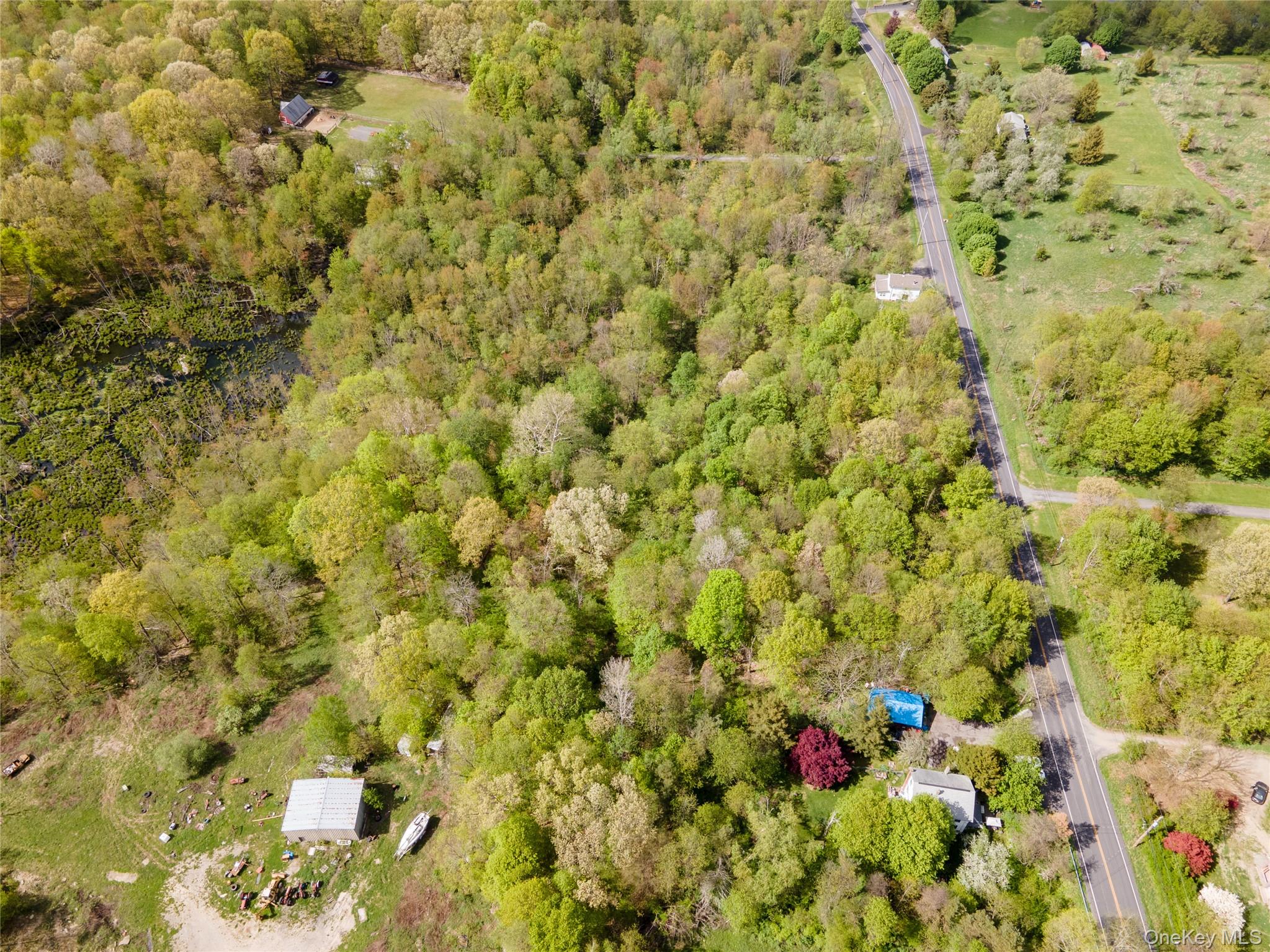 217 Tuckers Corners Road – For Sale photo 19