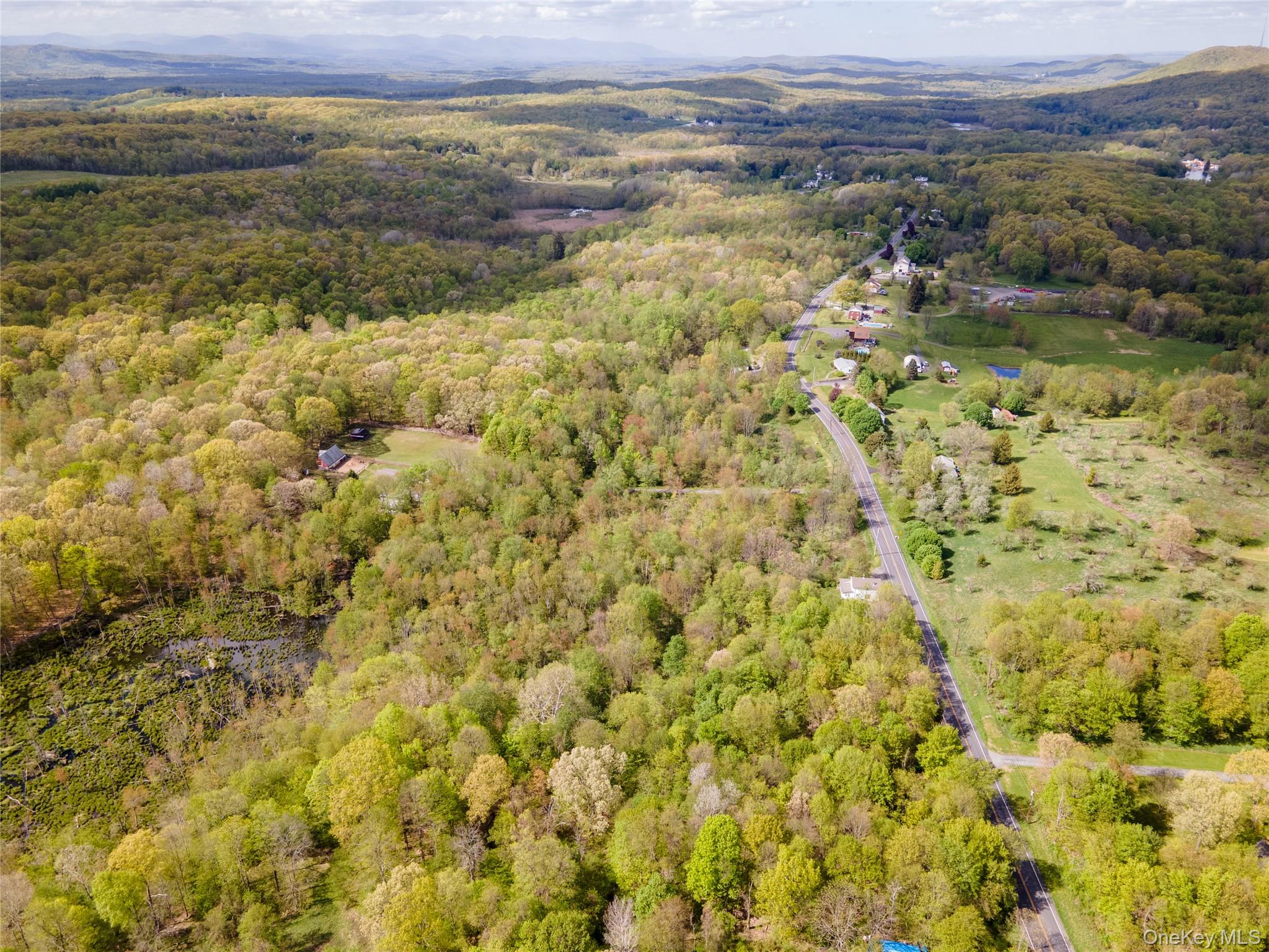 217 Tuckers Corners Road – For Sale photo 20