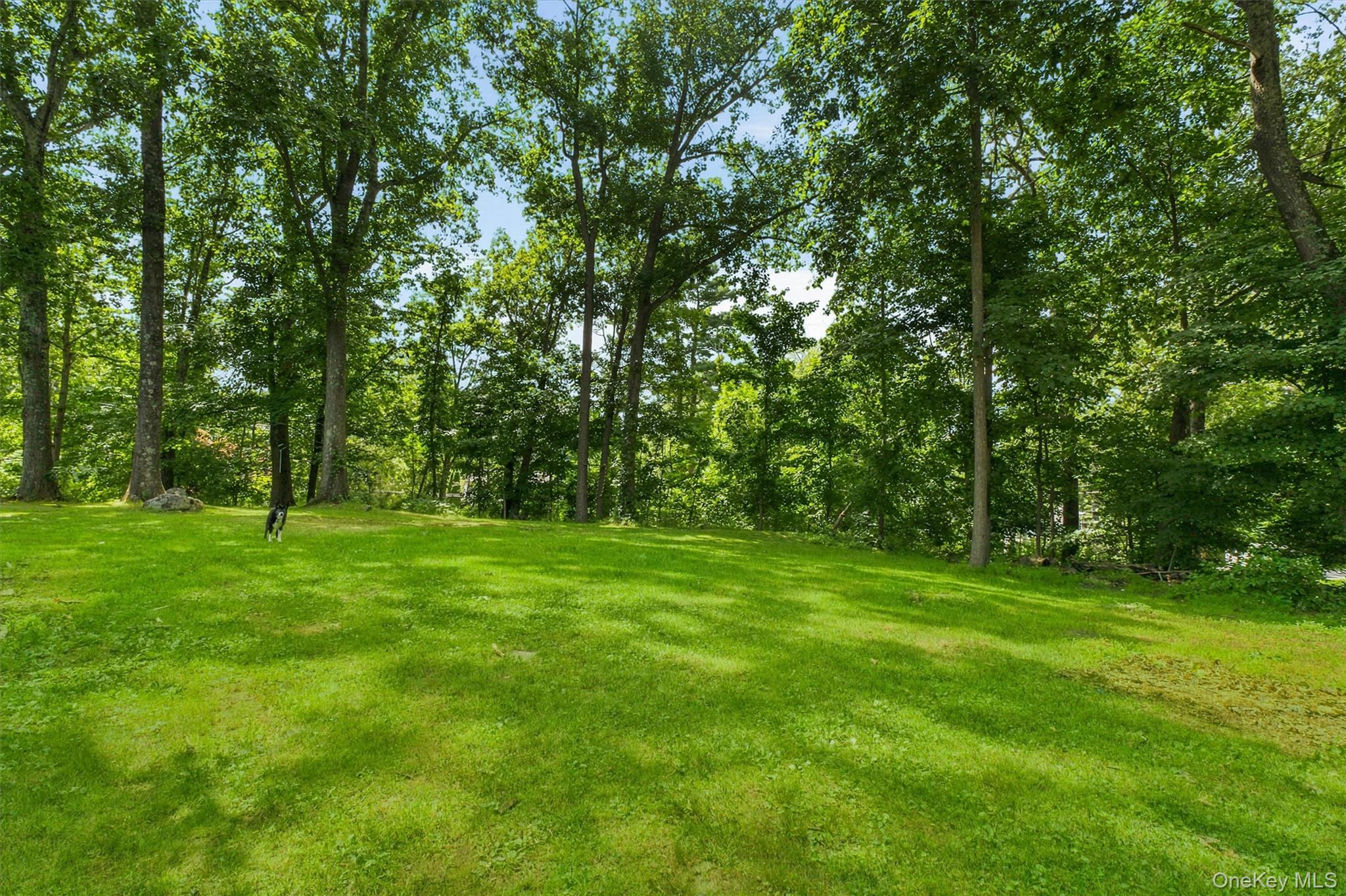 28 Mahopac Avenue – For Sale photo 24