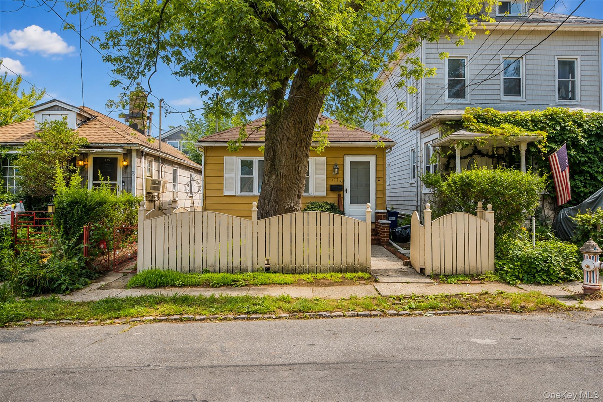 177 Terrace Street – For Sale photo 17