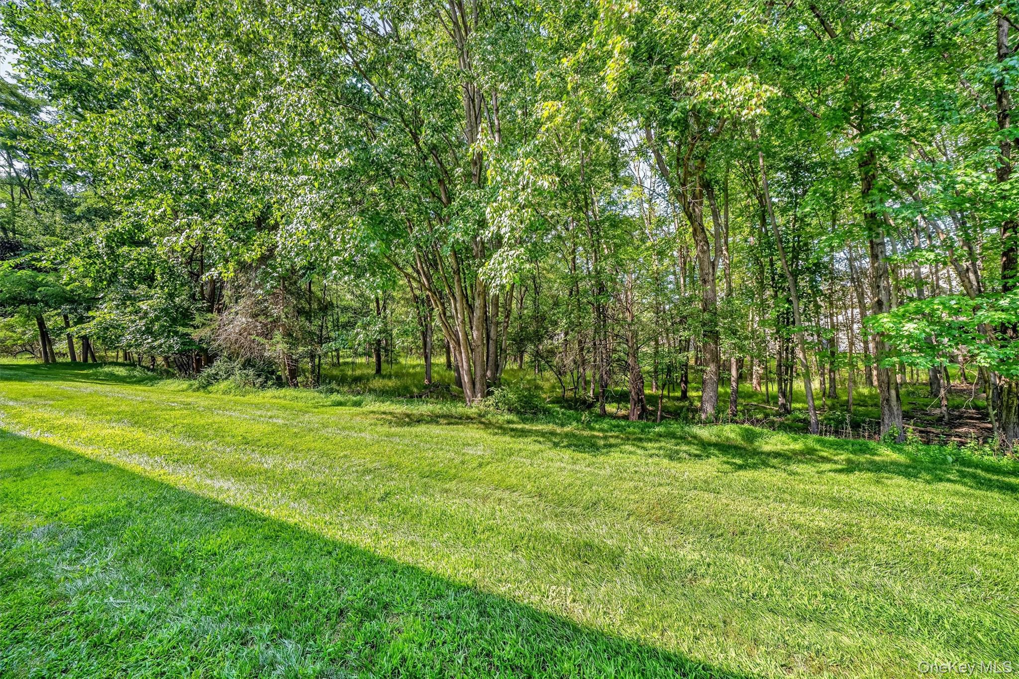 65 Yorkshire Terrace – For Sale photo 41