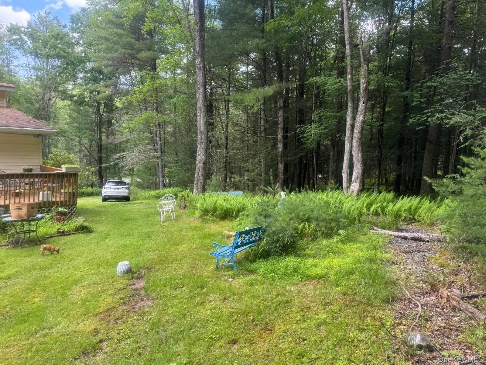 60 Highland Lake Road – For Sale photo 14
