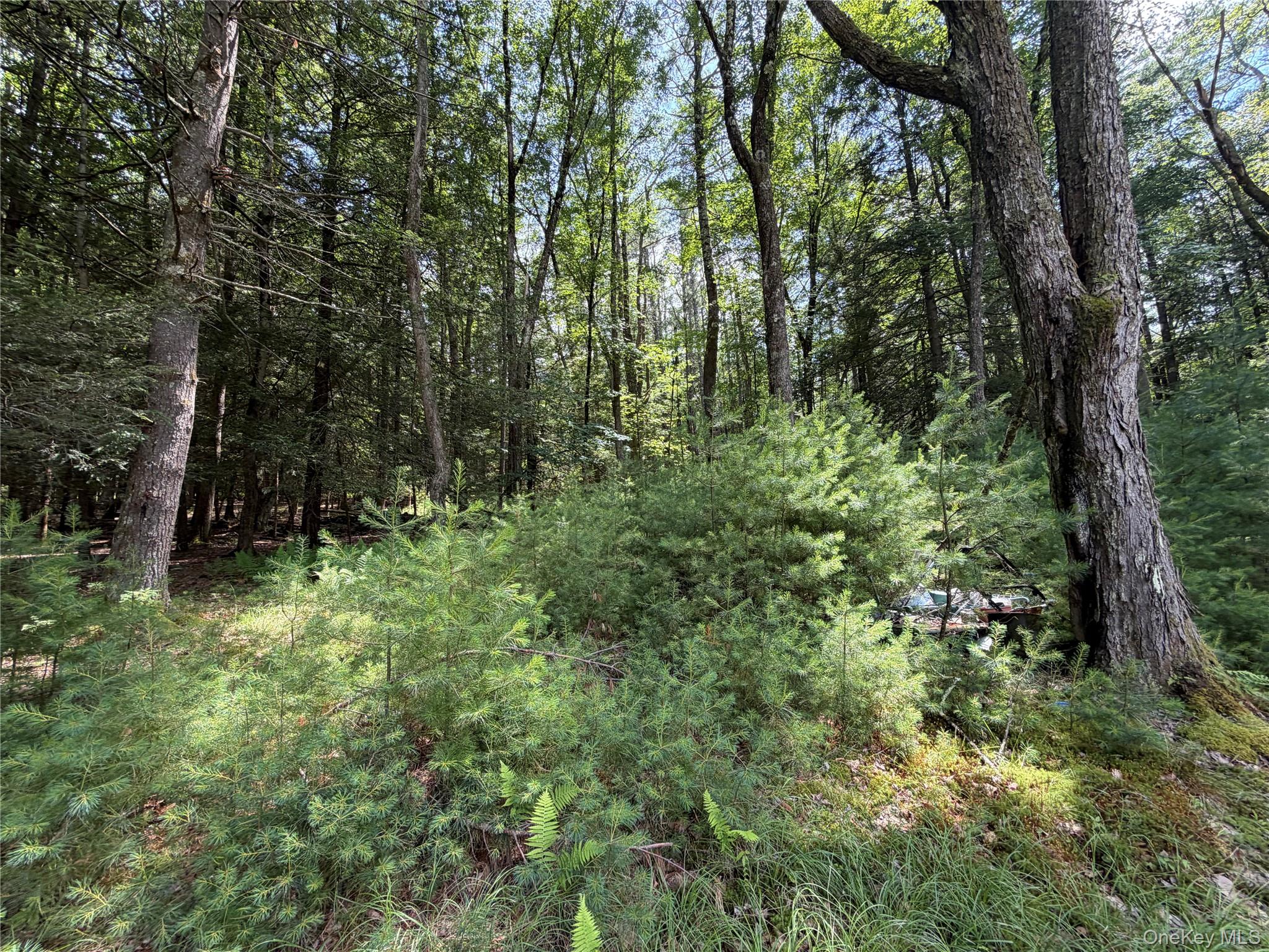 60 Highland Lake Road – For Sale photo 30