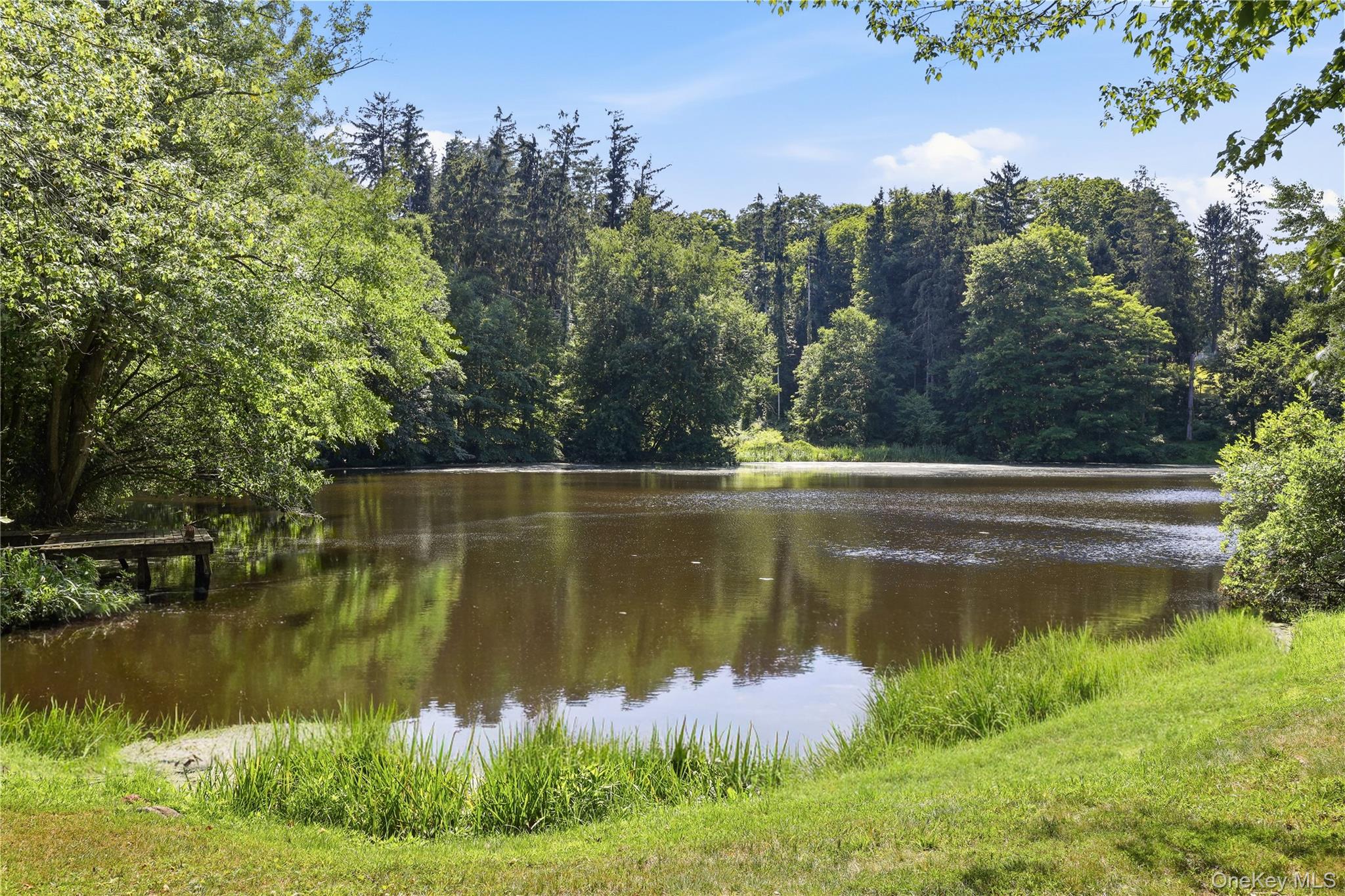 18 Salem Road – For Sale photo 8