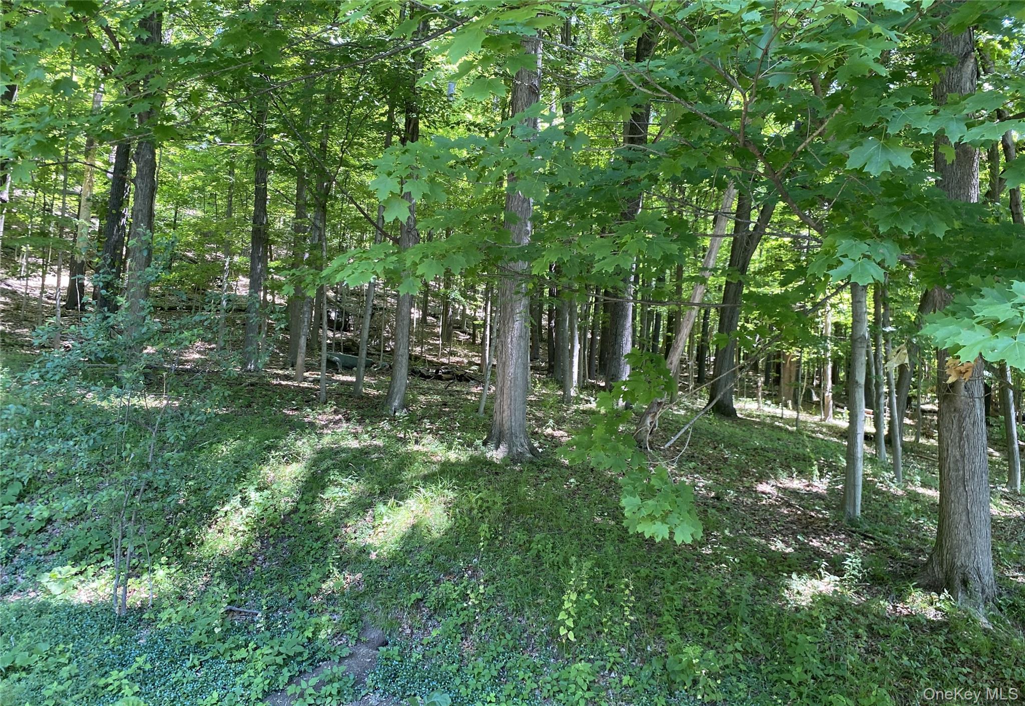 696 Sawkill Road – For Sale photo 47