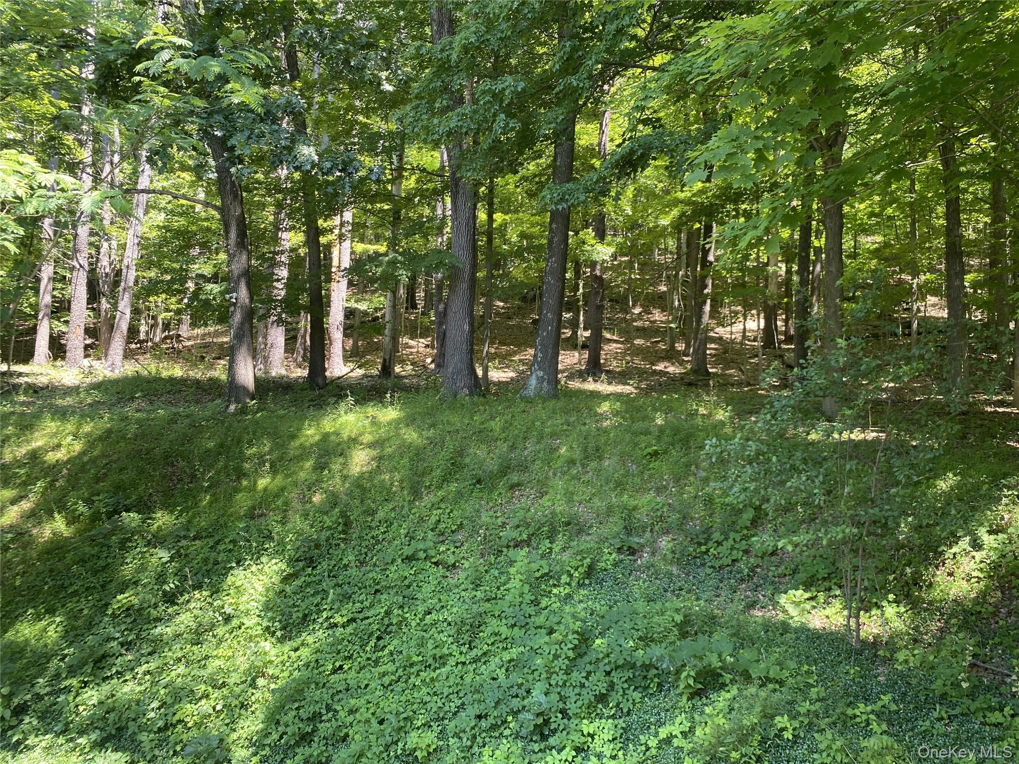 696 Sawkill Road – For Sale photo 46