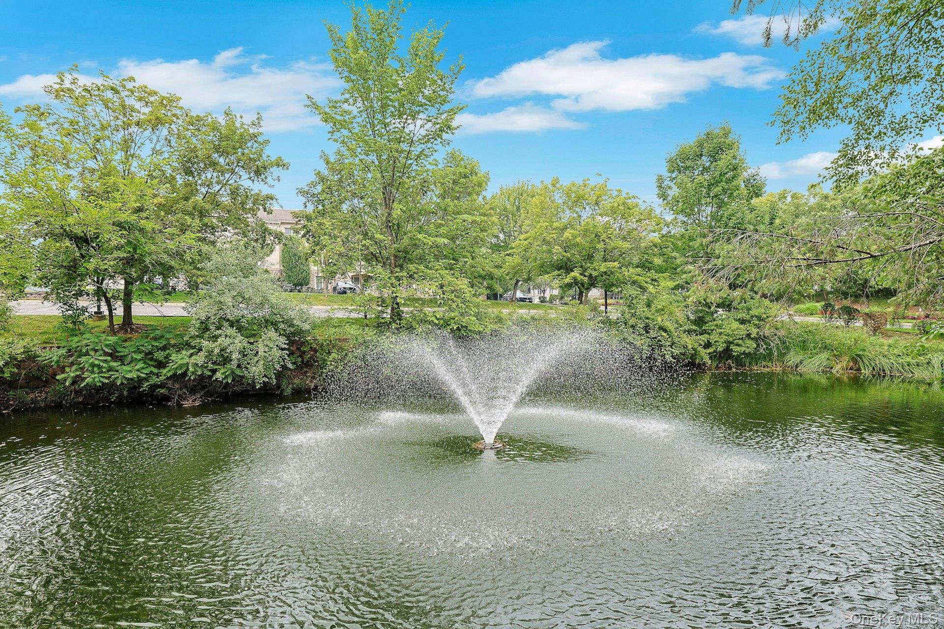 32 N De Baun Avenue # 108, Ramapo NY 10901, Unit 207 photo 4