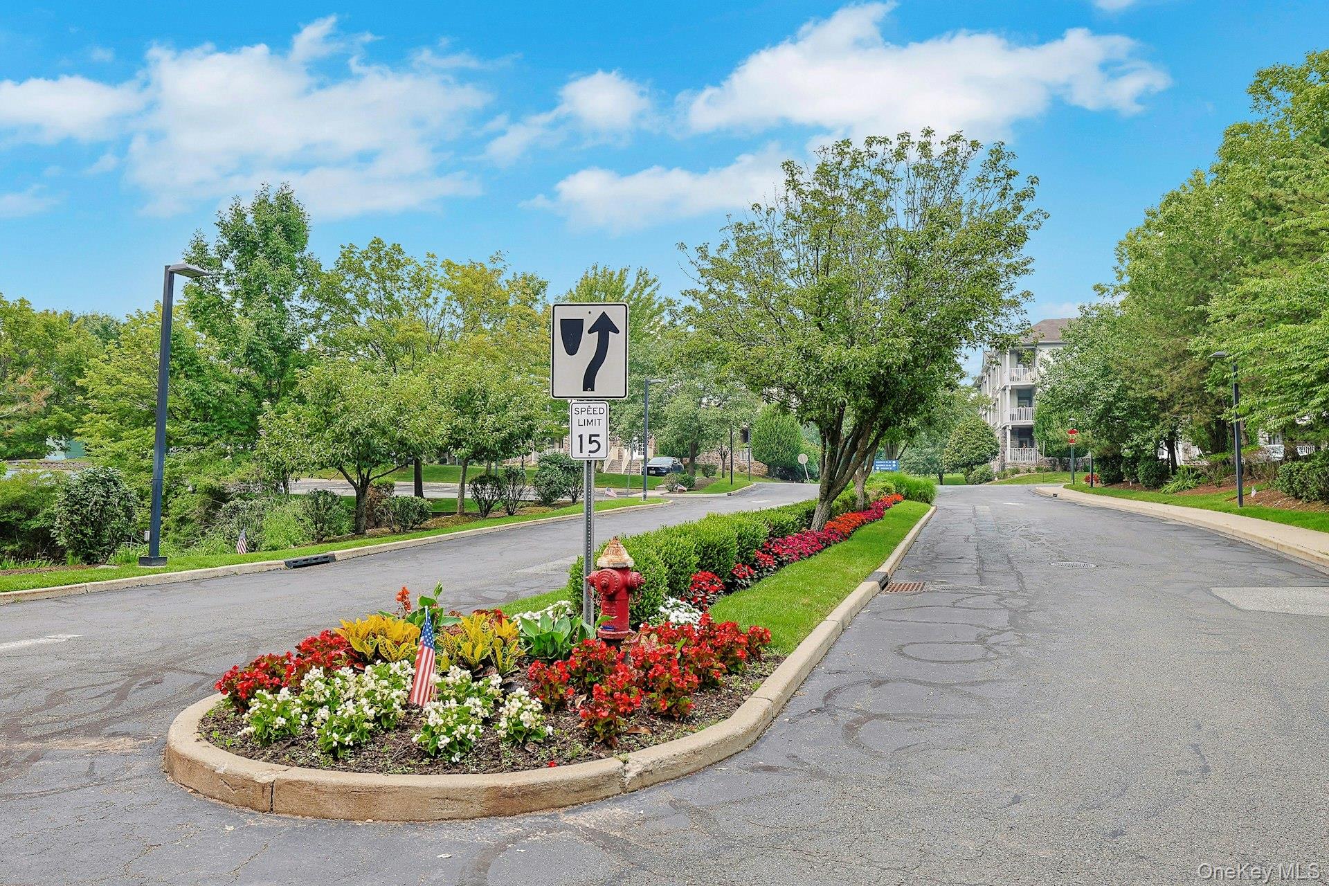 32 N De Baun Avenue # 108, Ramapo NY 10901, Unit 207 photo 3