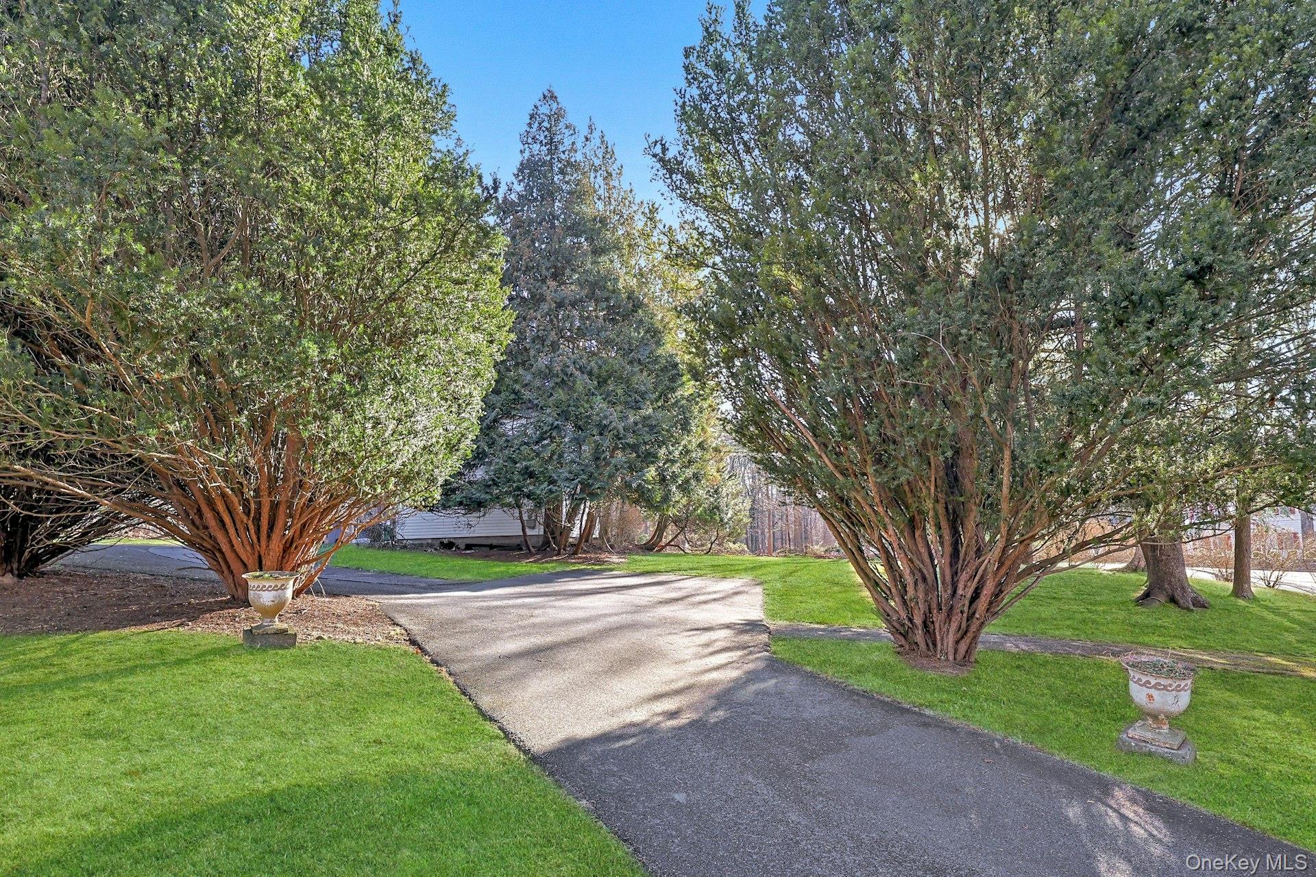 46 Mile Road – For Rent photo 22
