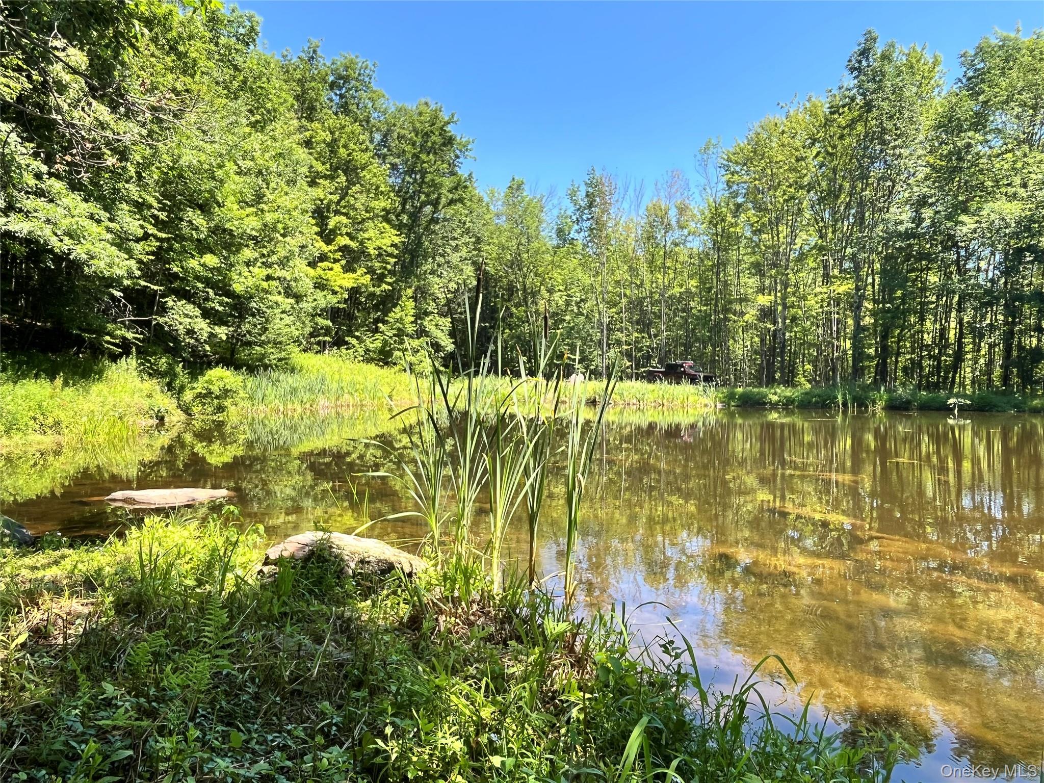 Upper Pond Dahlia Road W – For Sale photo 14