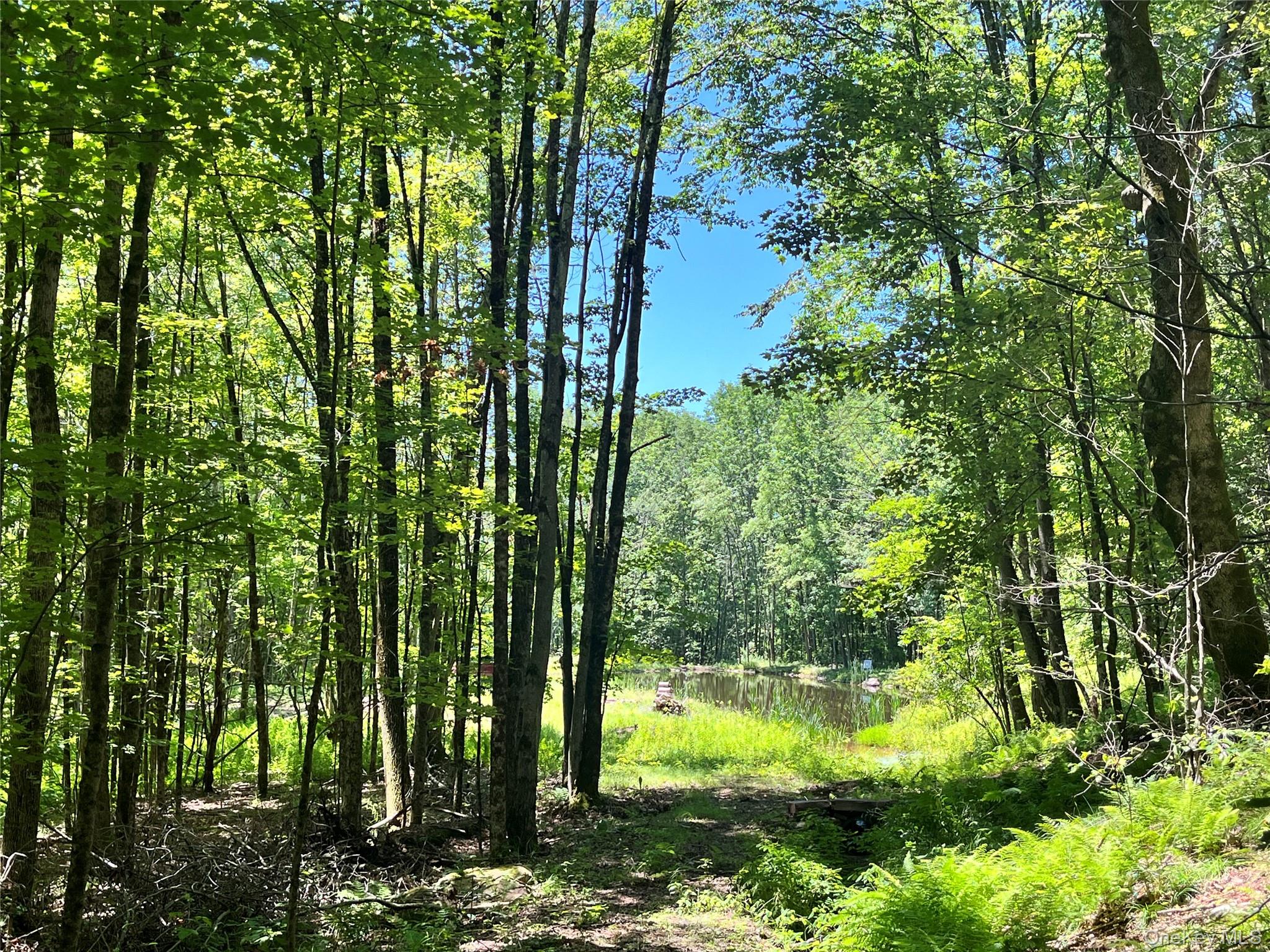 Upper Pond Dahlia Road W – For Sale photo 18