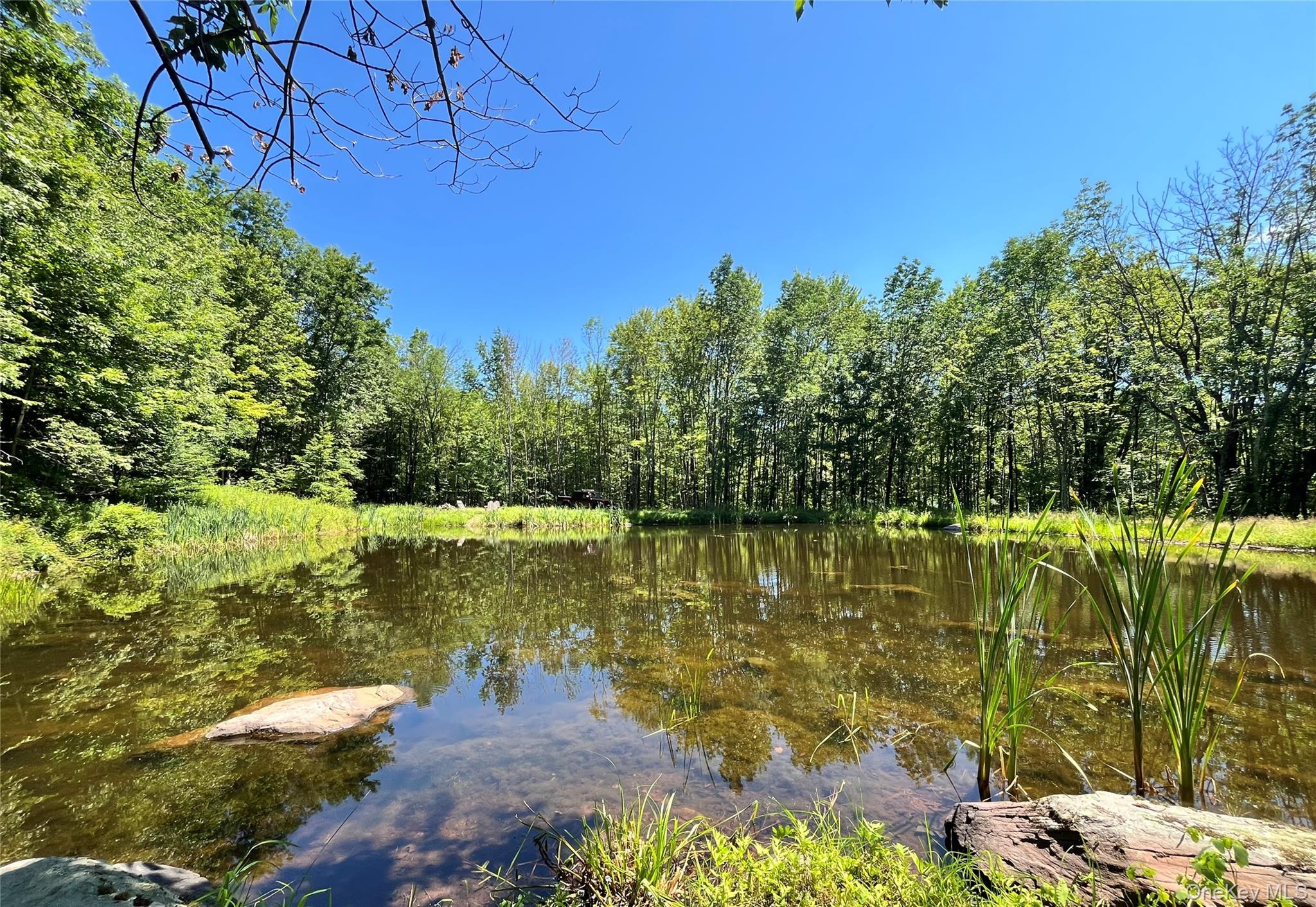 Upper Pond Dahlia Road W – For Sale photo 12