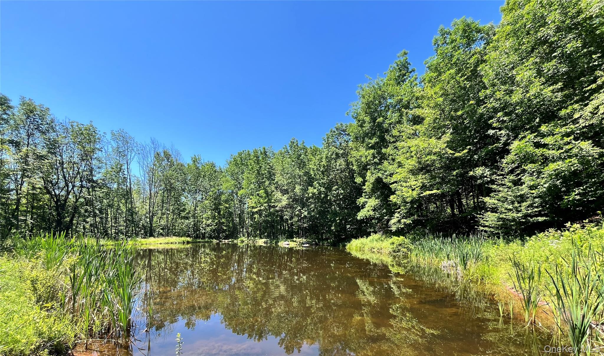 Upper Pond Dahlia Road W – For Sale photo 8