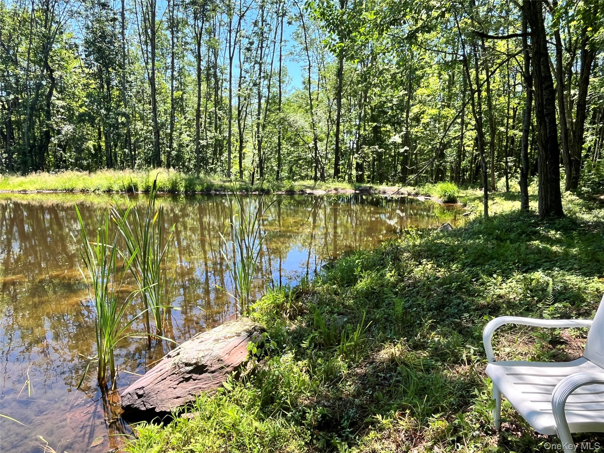 Upper Pond Dahlia Road W – For Sale