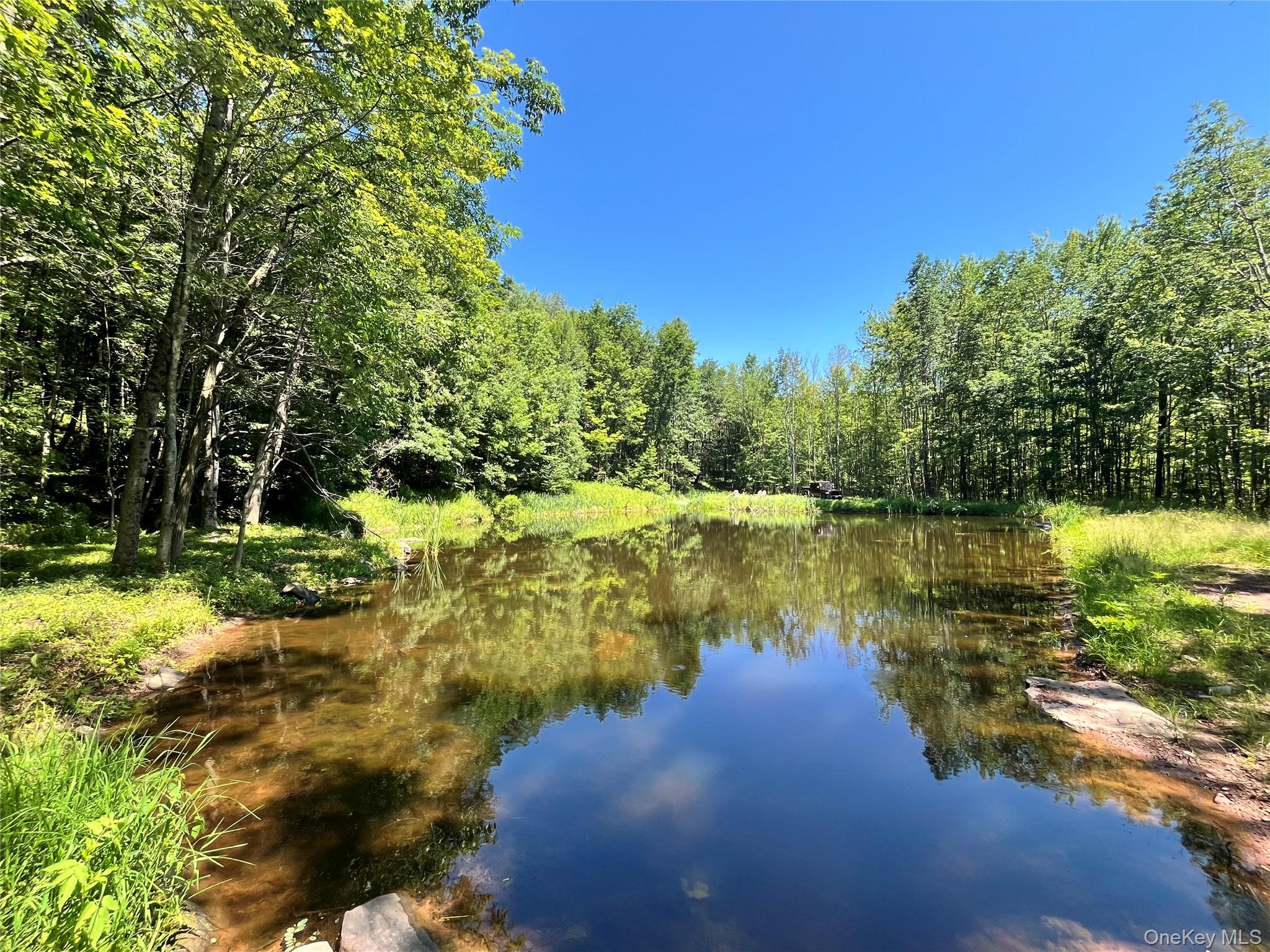 Upper Pond Dahlia Road W – For Sale photo 11