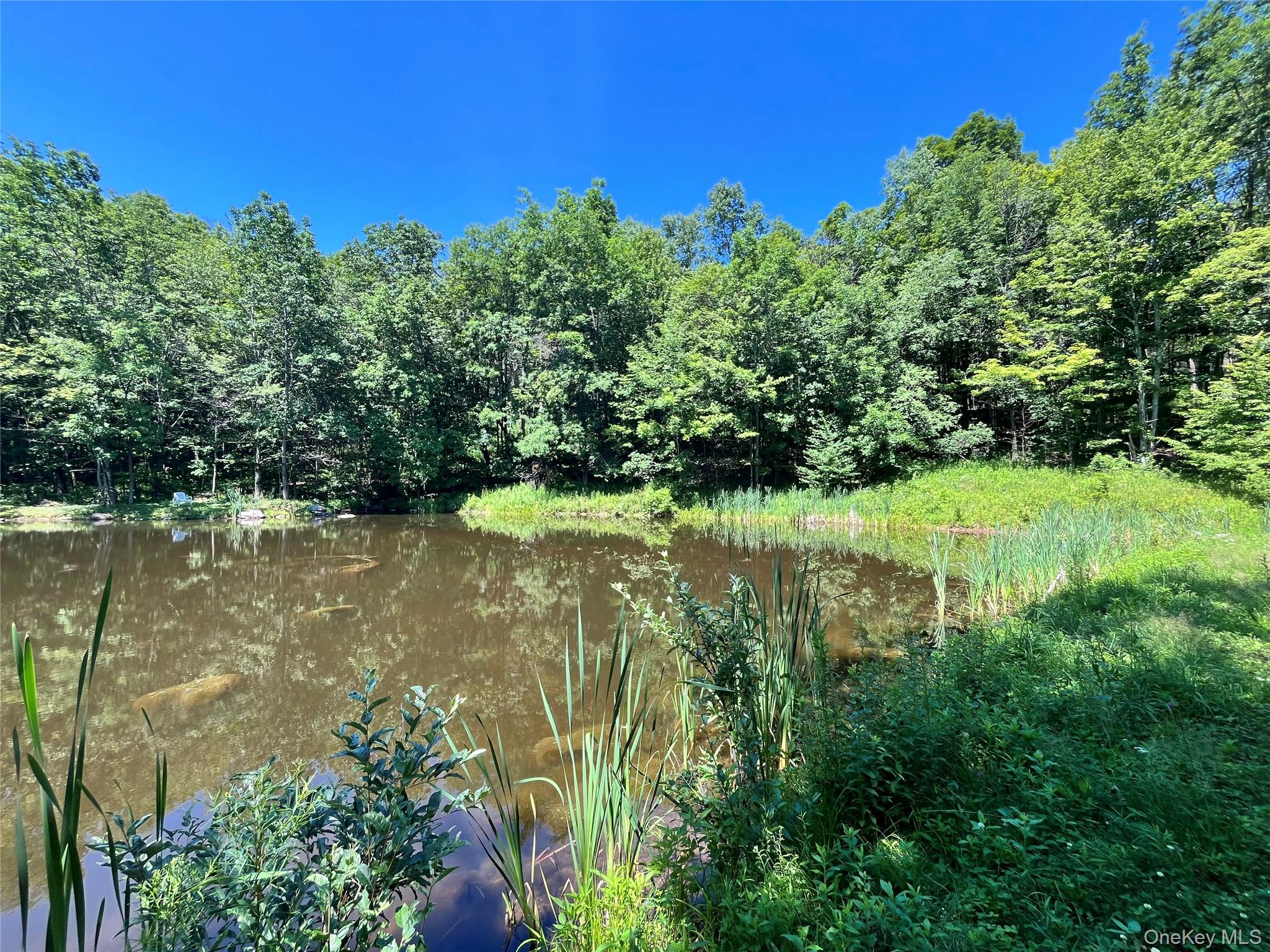 Upper Pond Dahlia Road W – For Sale photo 15