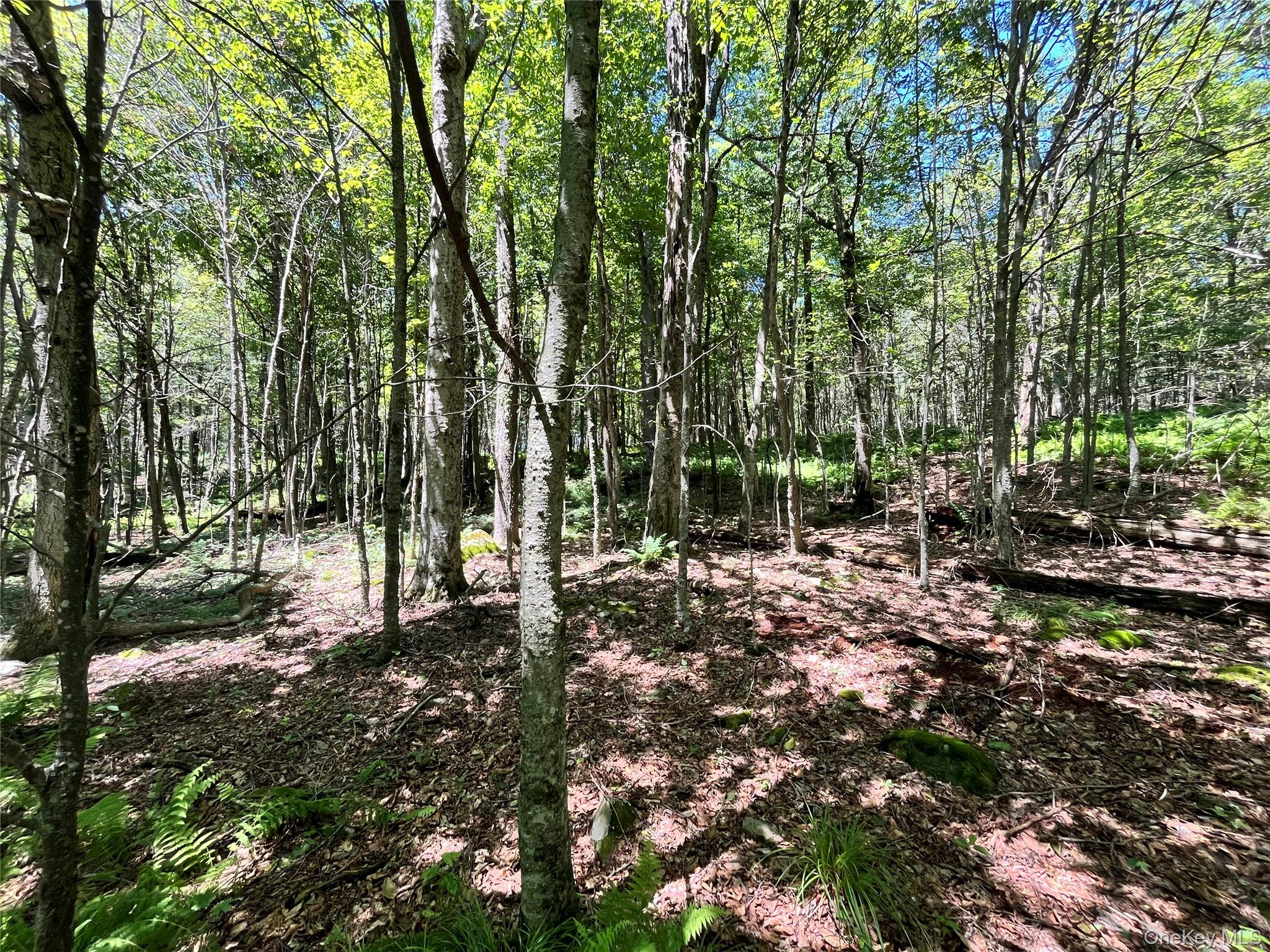 Upper Pond Dahlia Road W – For Sale photo 22