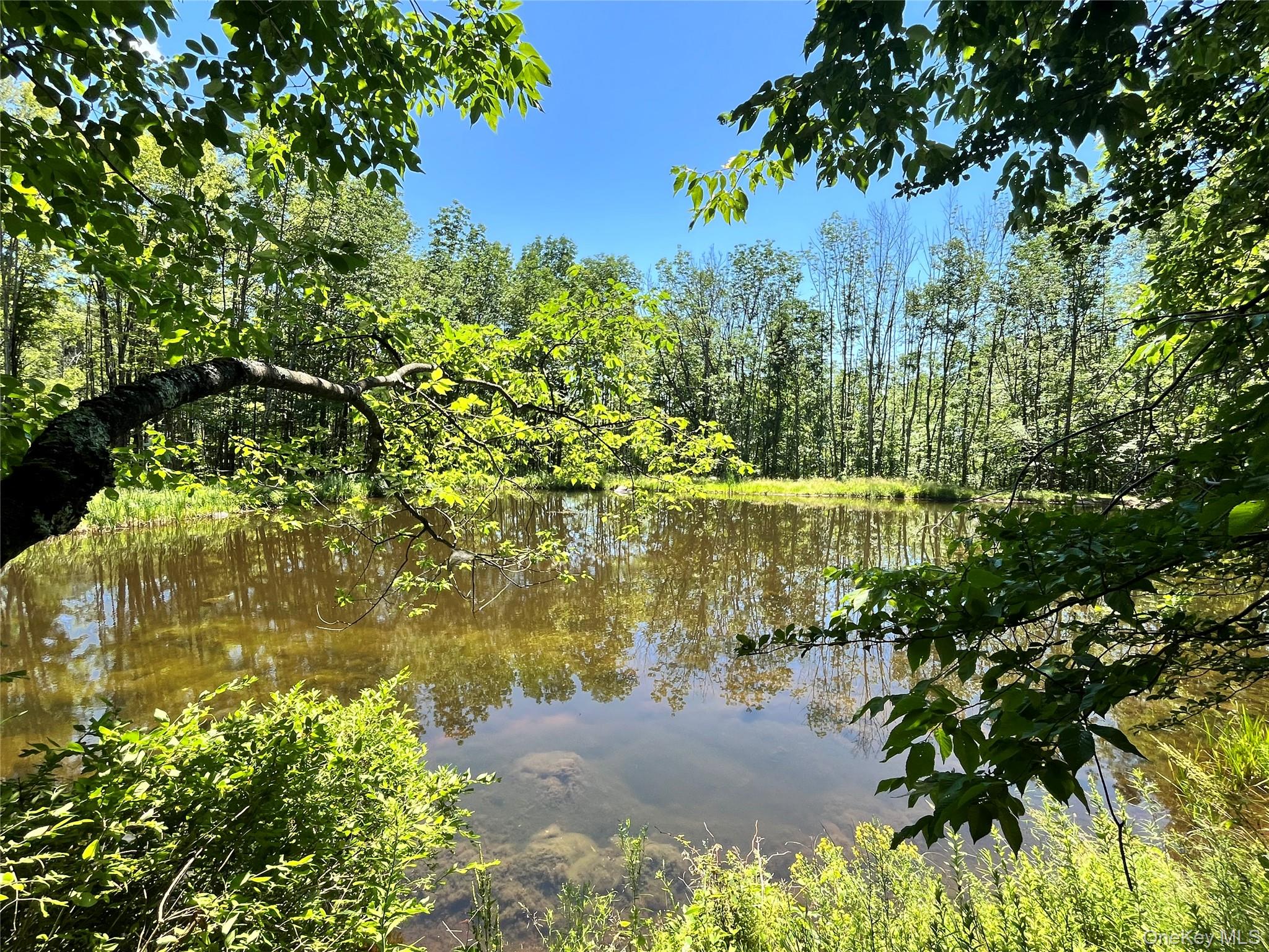 Upper Pond Dahlia Road W – For Sale photo 2