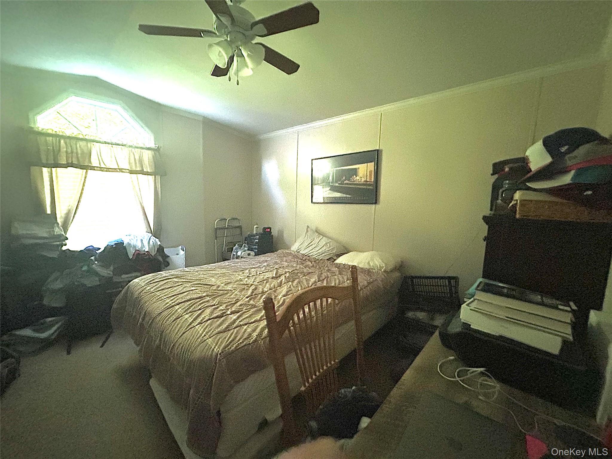 1782 South Road, Unit 62 photo 6