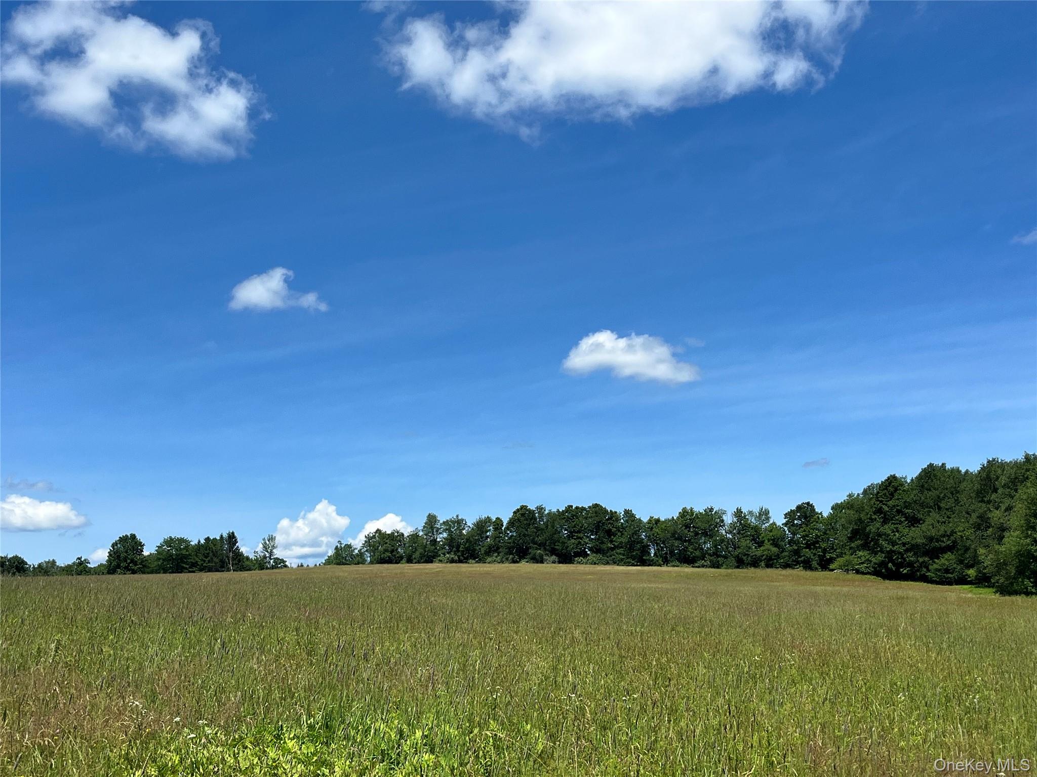 Lower Pond Dahlia Road W – For Sale photo 21