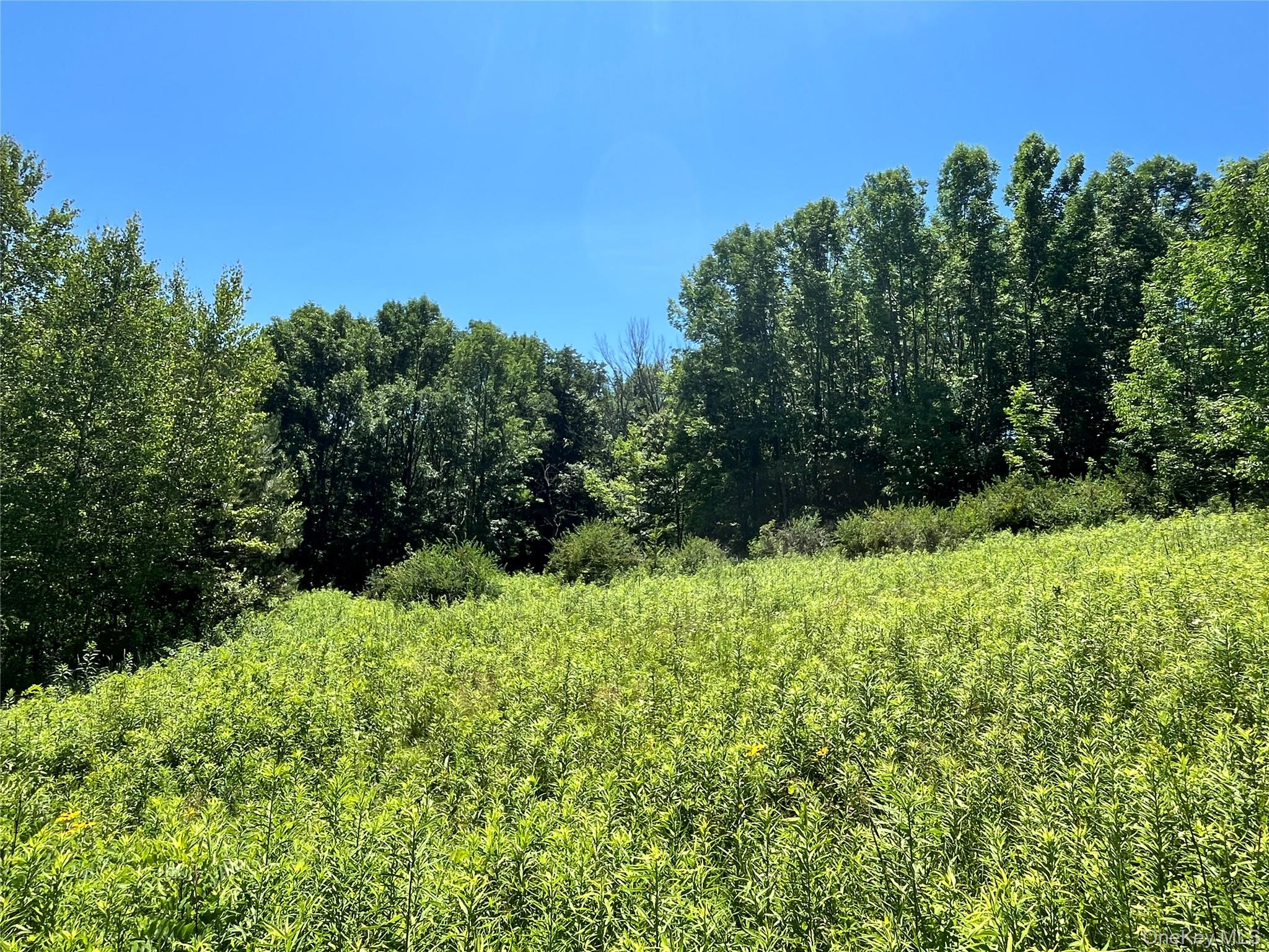 Lower Pond Dahlia Road W – For Sale photo 20