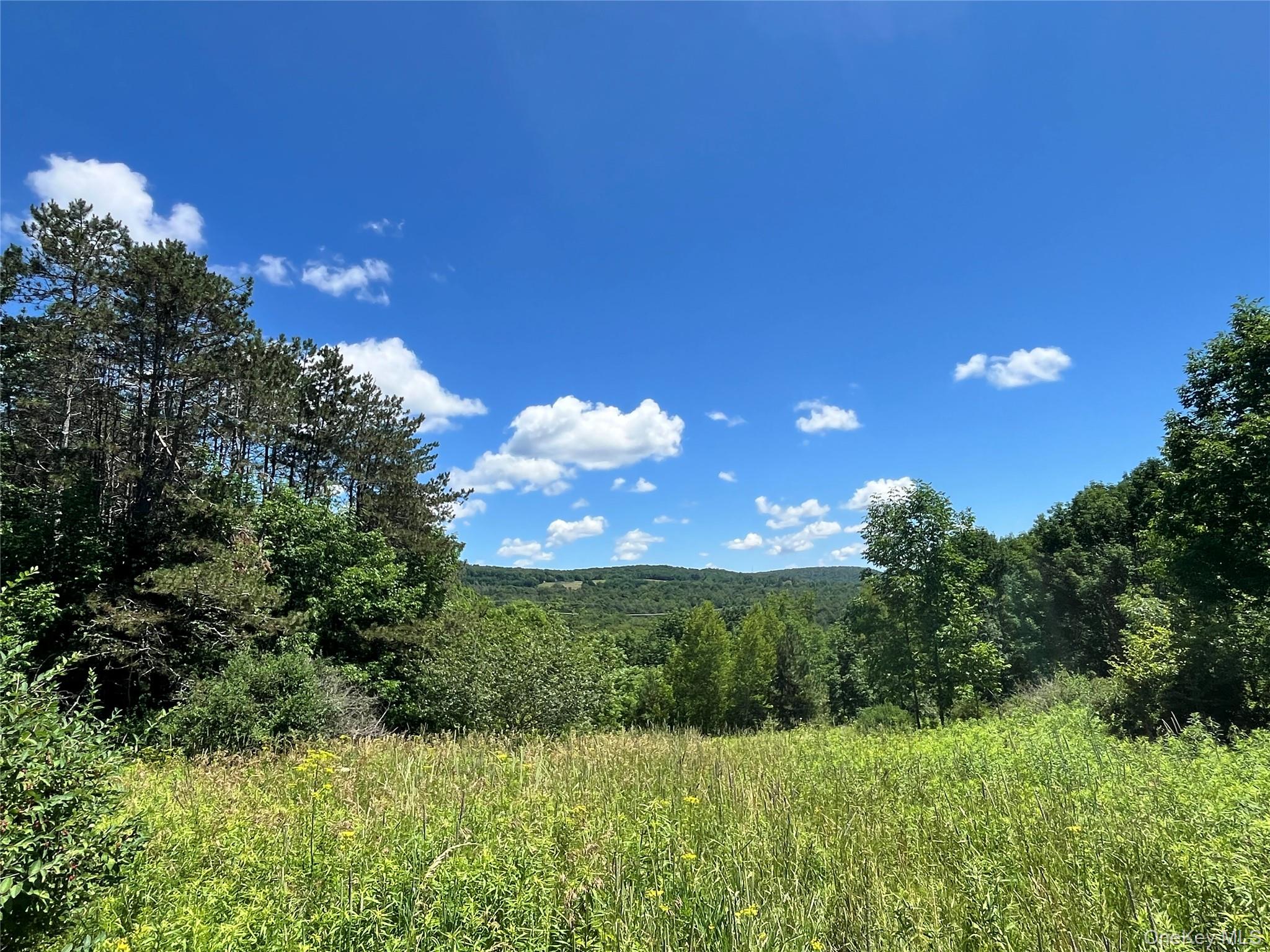 Lower Pond Dahlia Road W – For Sale