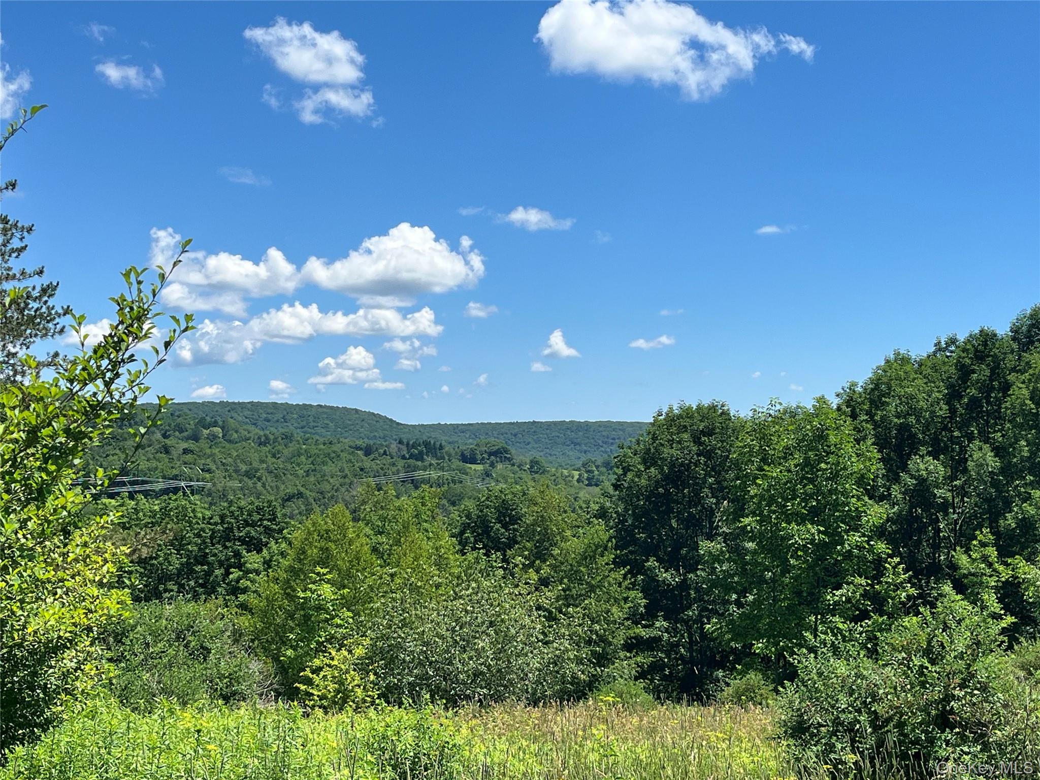 Lower Pond Dahlia Road W – For Sale photo 28
