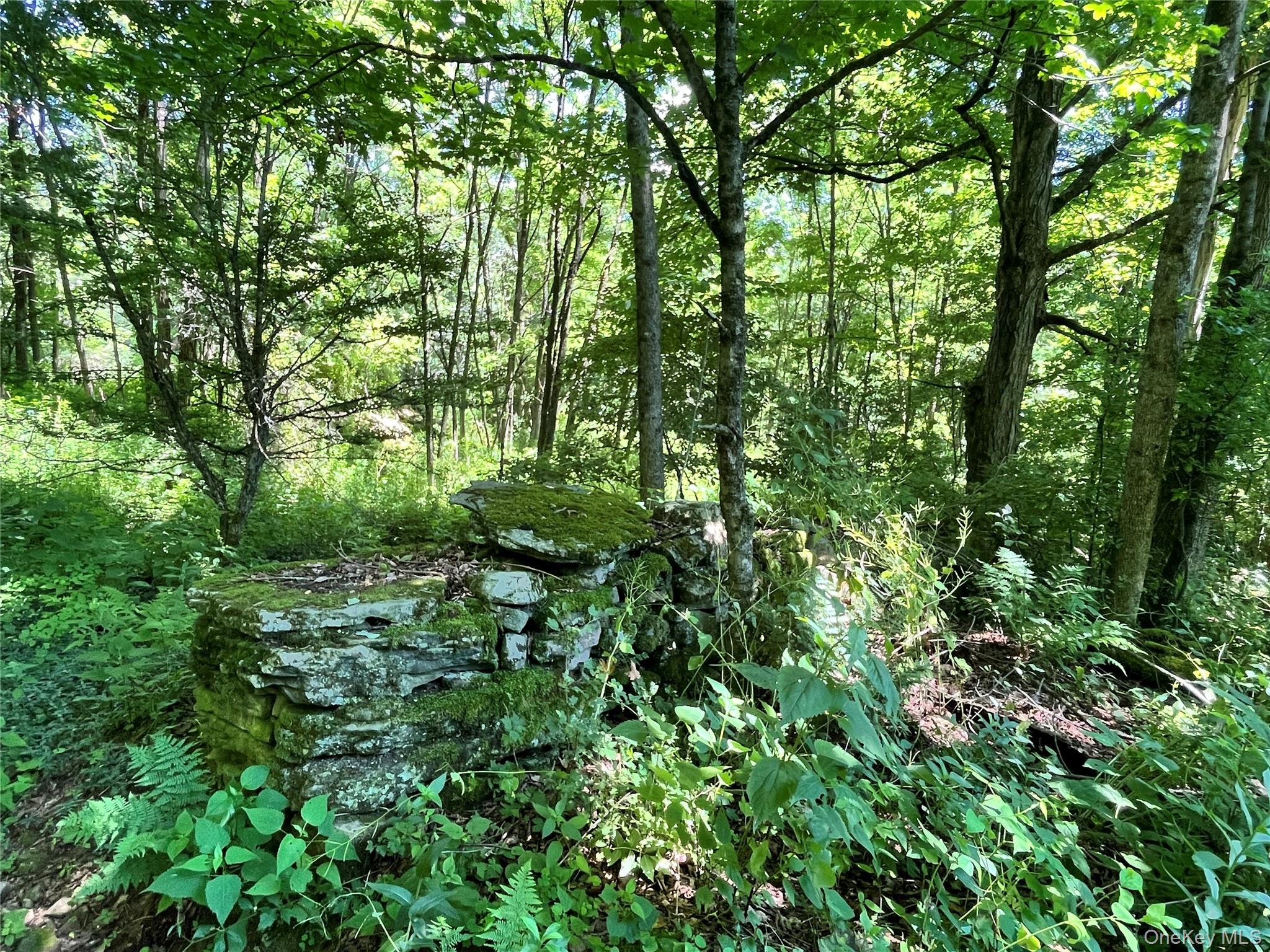 Lower Pond Dahlia Road W – For Sale photo 18