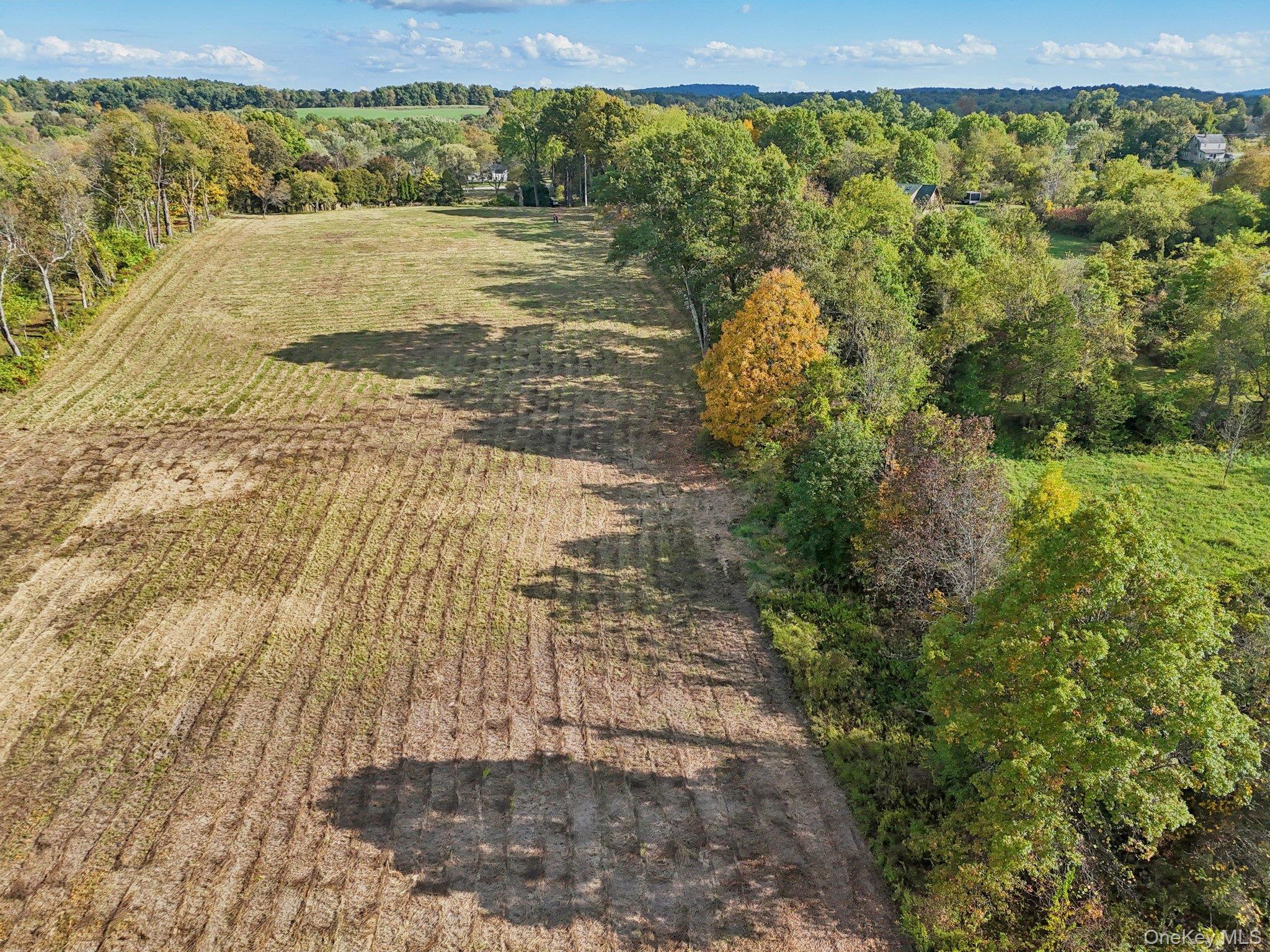 728 State Route 302 – For Sale photo 8