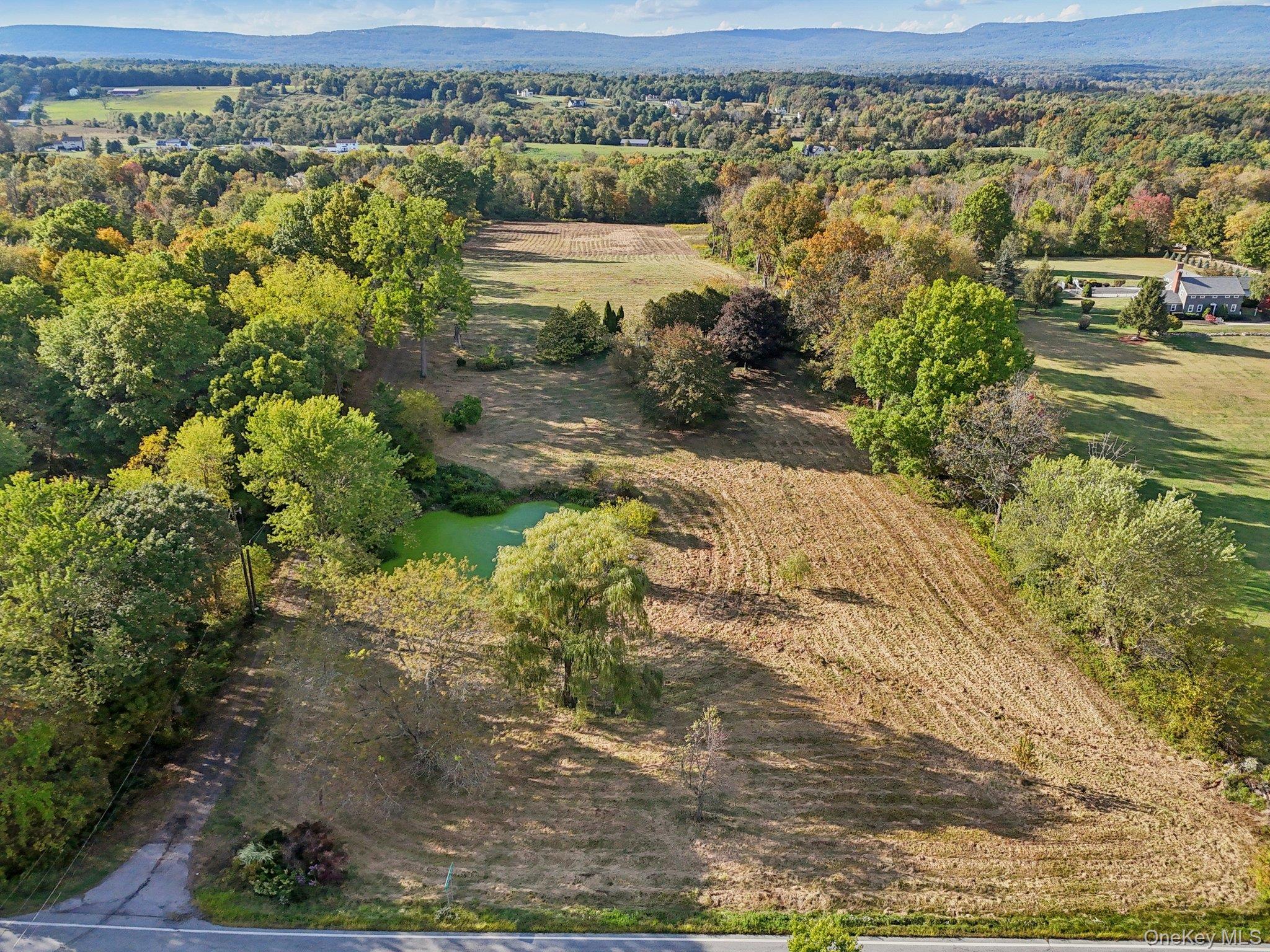 728 State Route 302 – For Sale photo 11