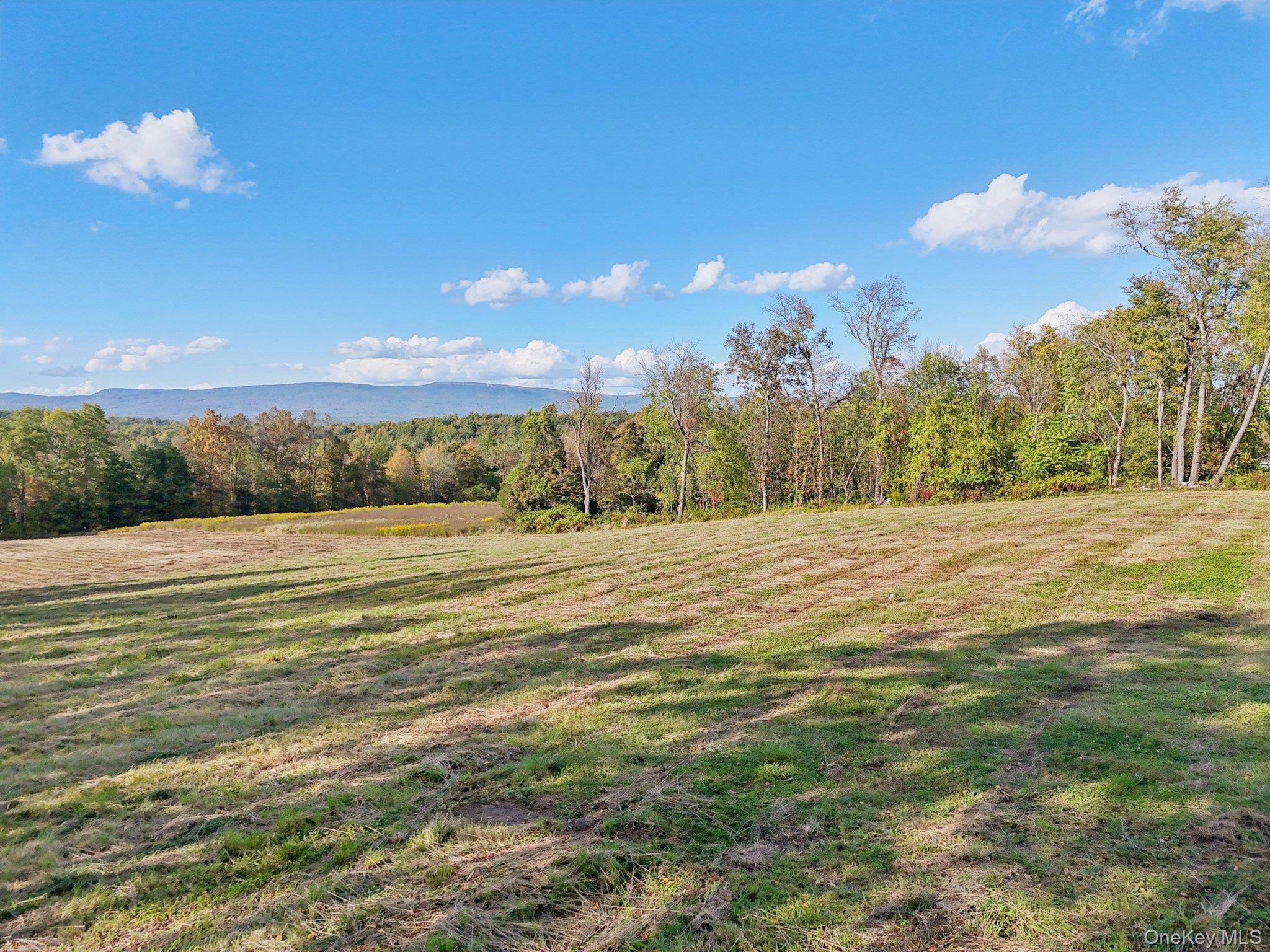 728 State Route 302 – For Sale photo 14