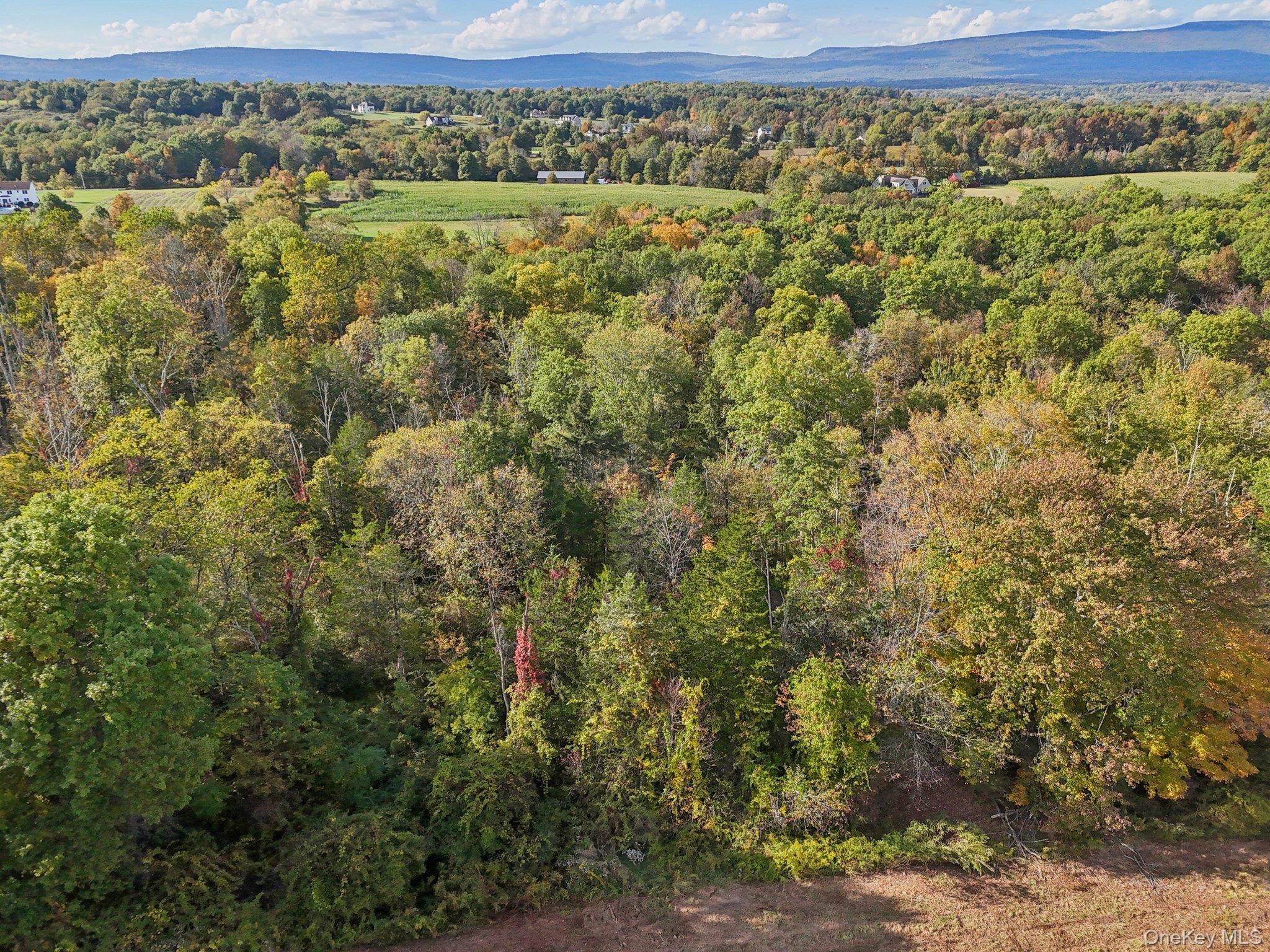 728 State Route 302 – For Sale photo 7