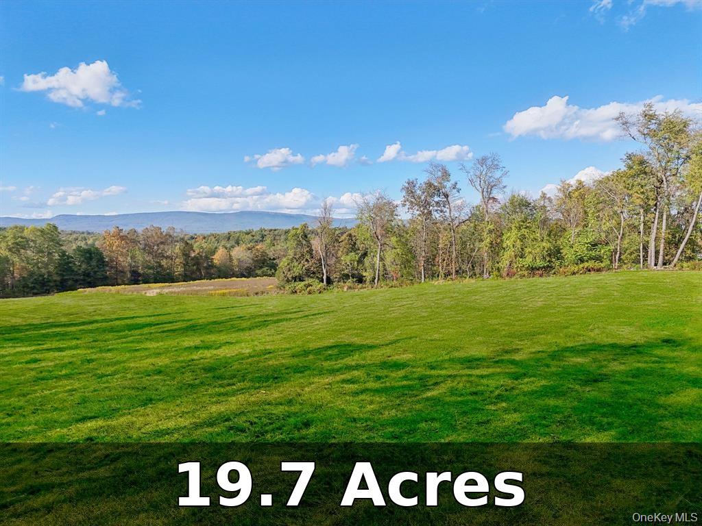 728 State Route 302 – For Sale photo 2