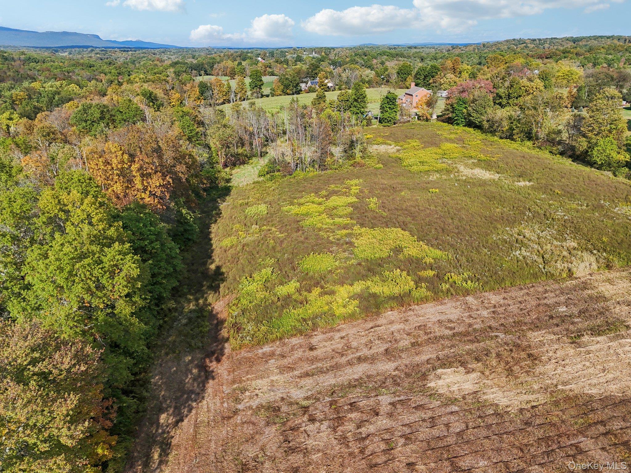728 State Route 302 – For Sale photo 9