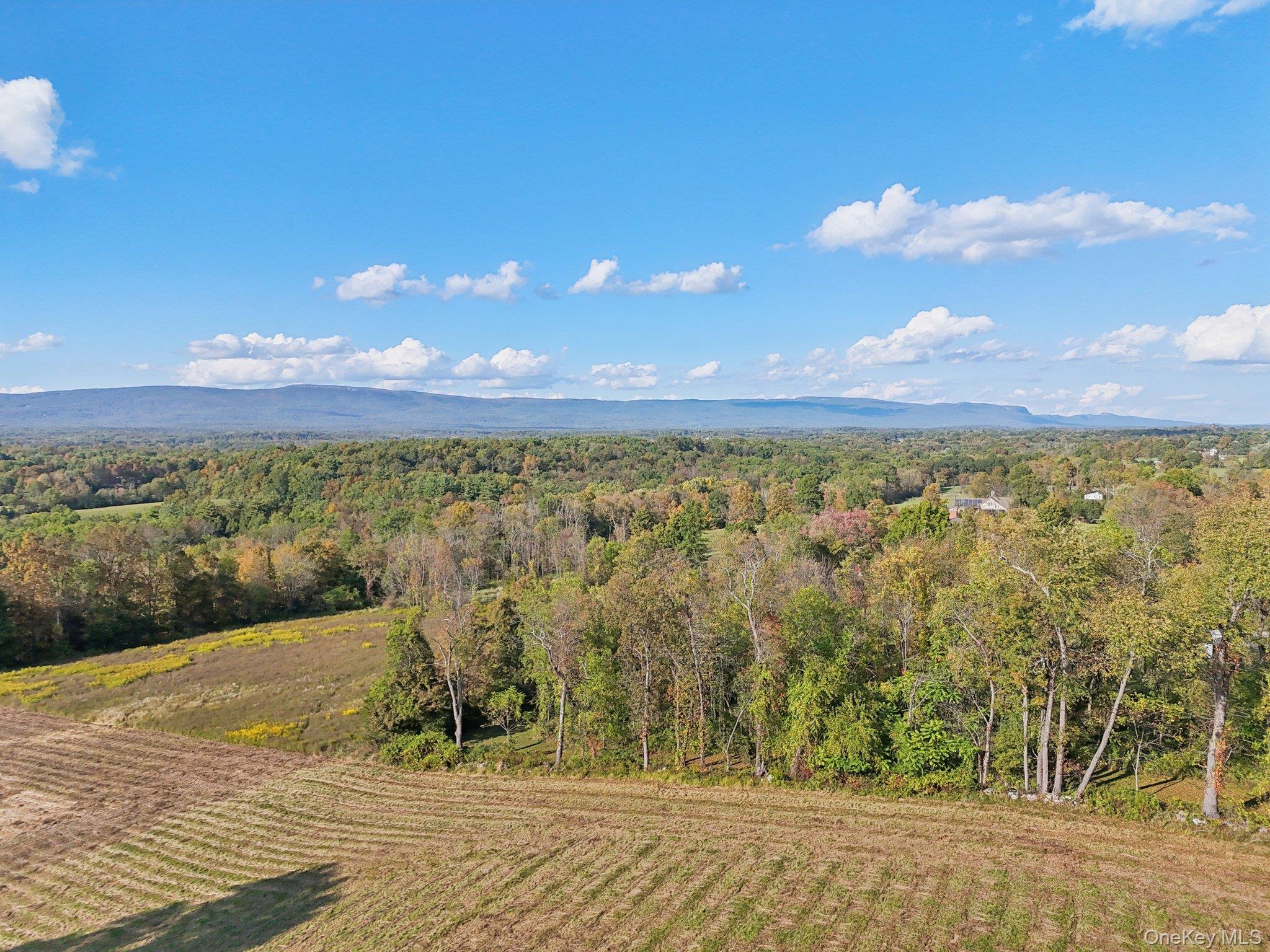 728 State Route 302 – For Sale photo 15