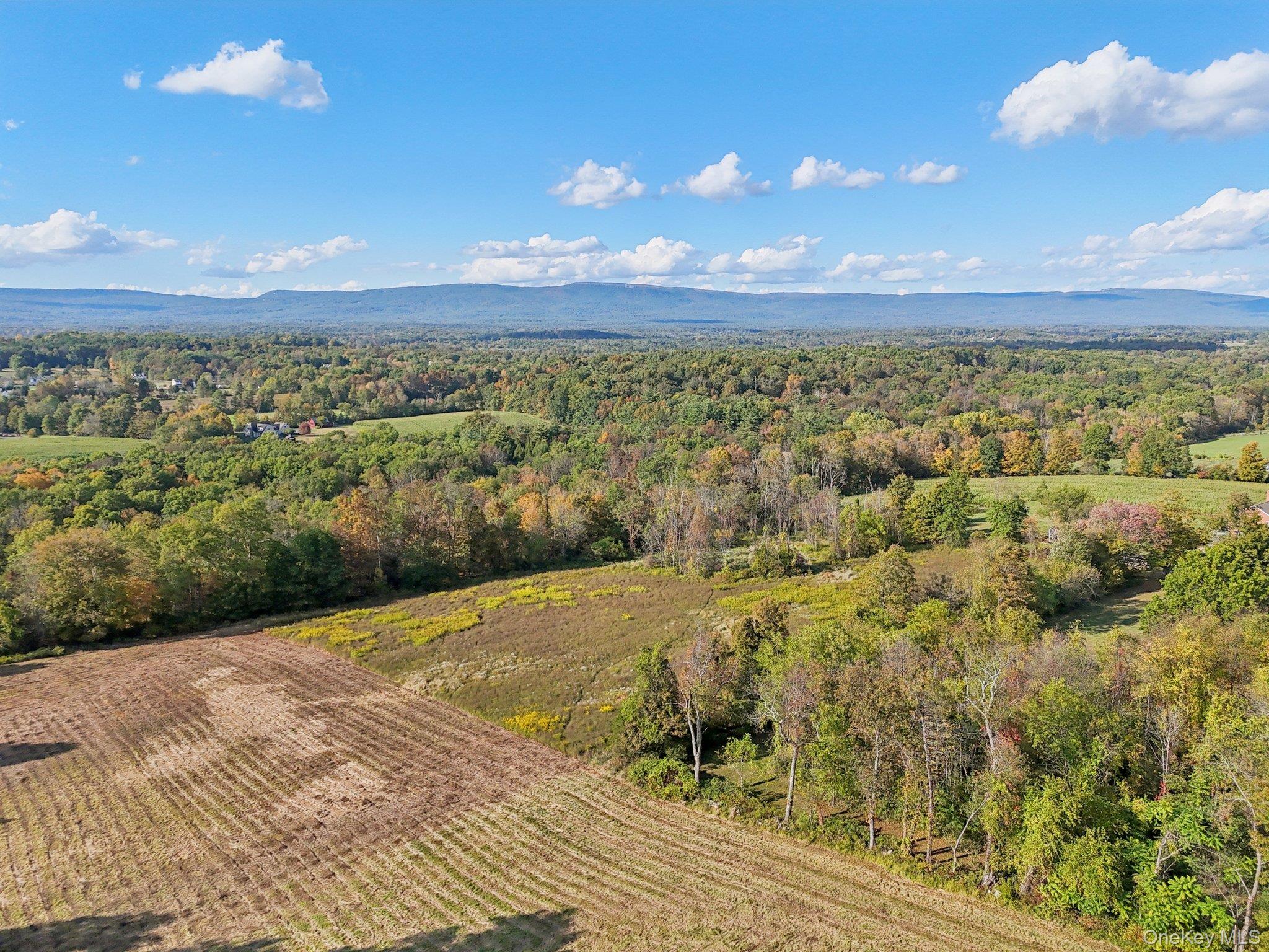 728 State Route 302 – For Sale photo 13