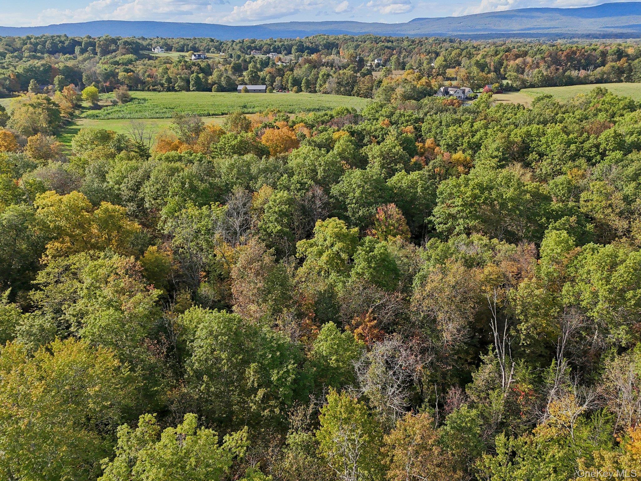 728 State Route 302 – For Sale photo 10