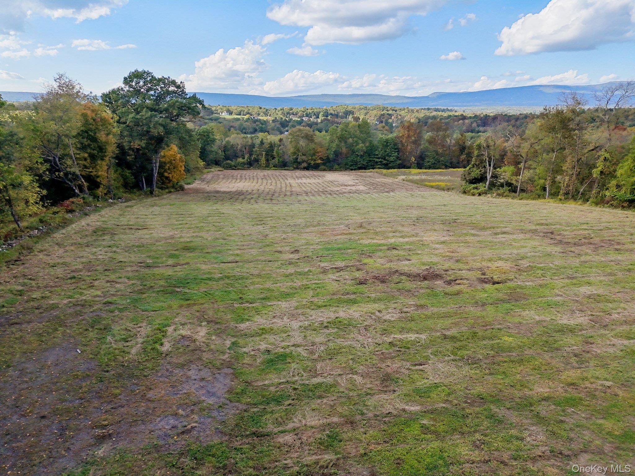 728 State Route 302 – For Sale photo 6