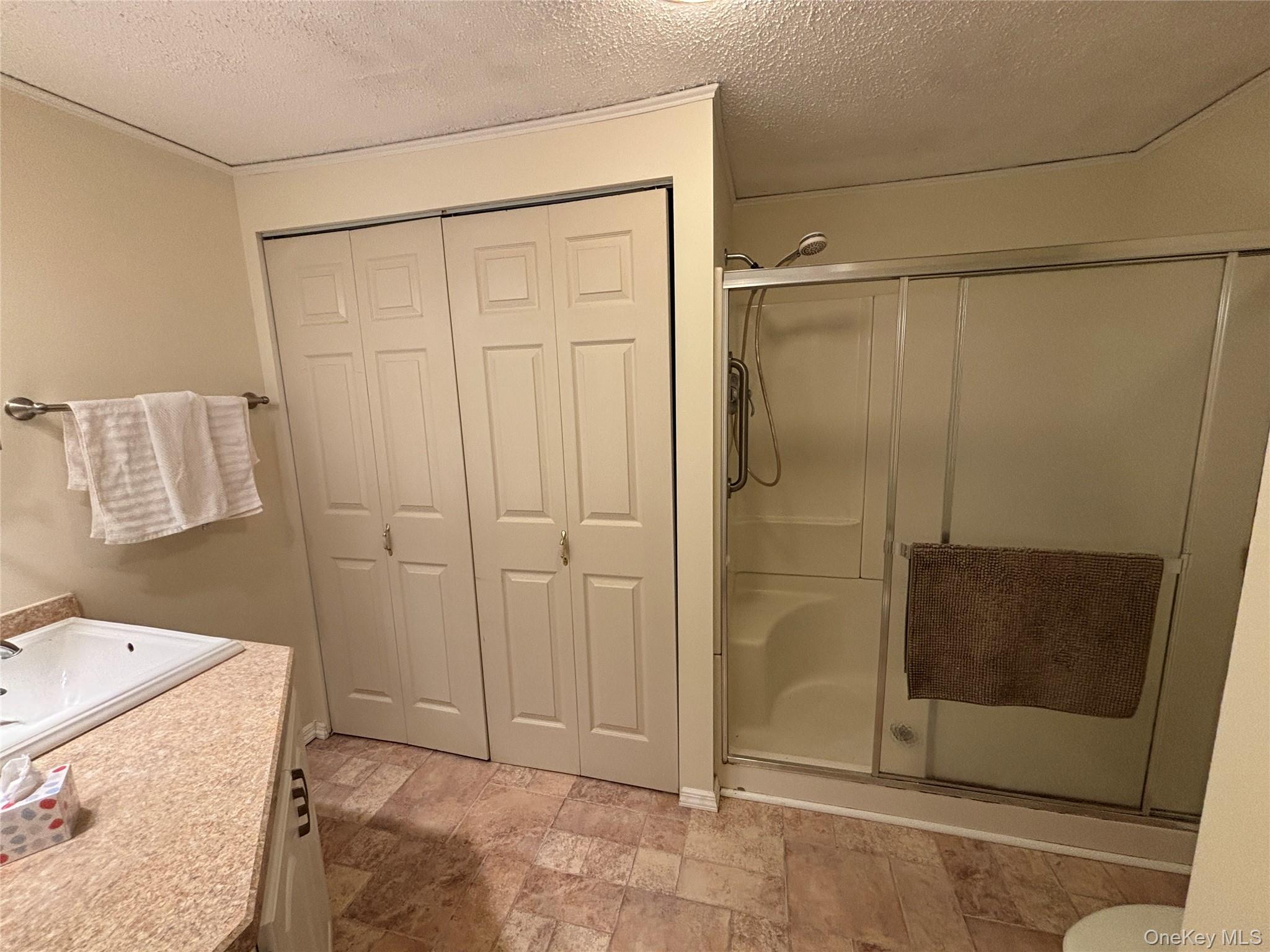 1661 Old Country Road, Unit 233 photo 22