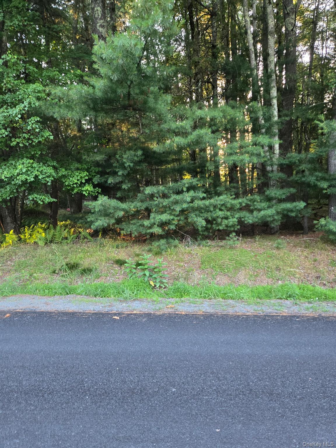 Horseshoe Lake Road – For Sale photo 3