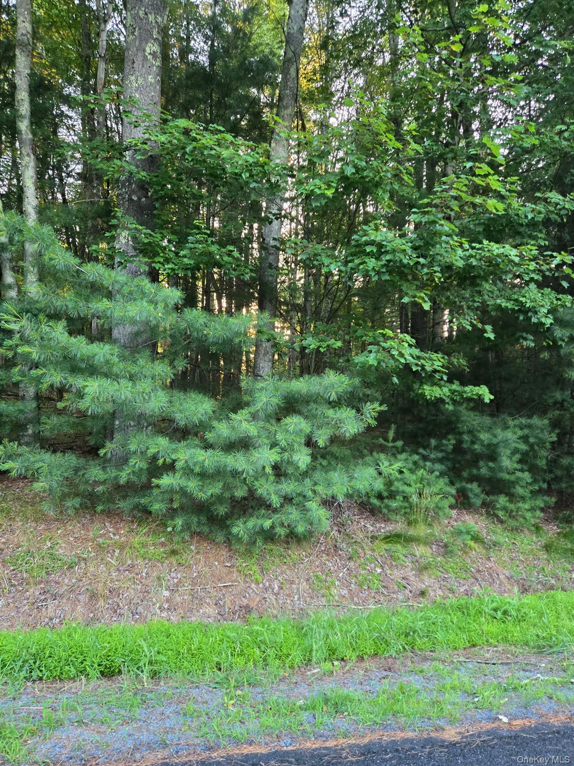 Horseshoe Lake Road – For Sale