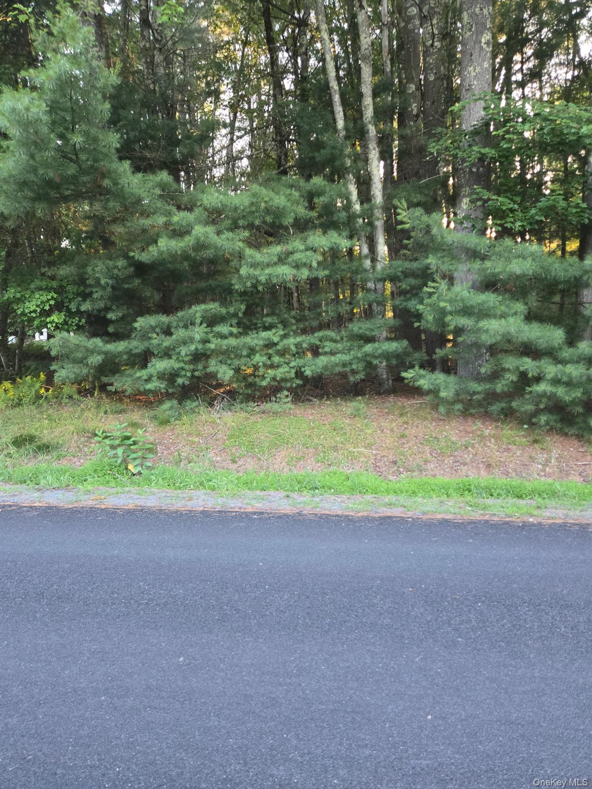 Horseshoe Lake Road – For Sale photo 4