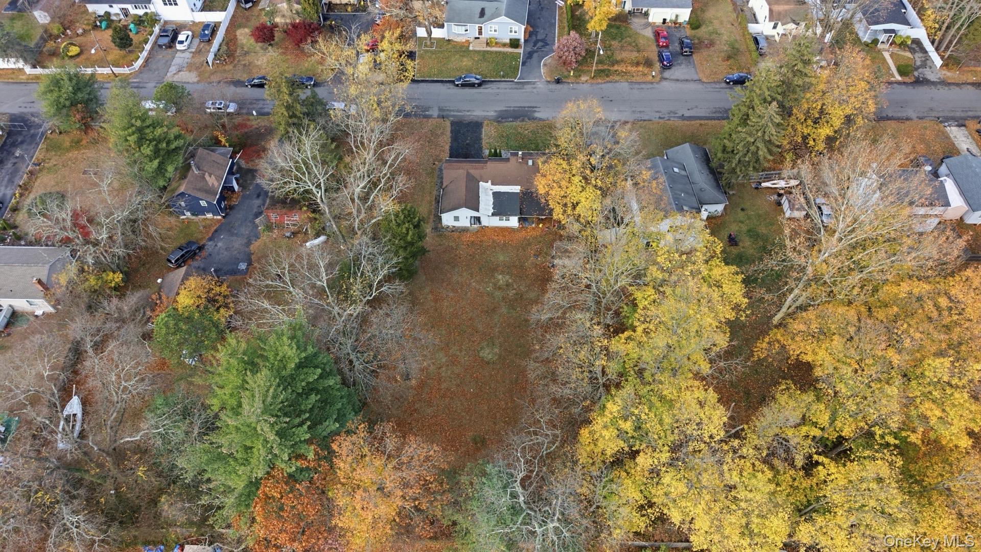 36 Ralph Avenue – For Sale photo 9
