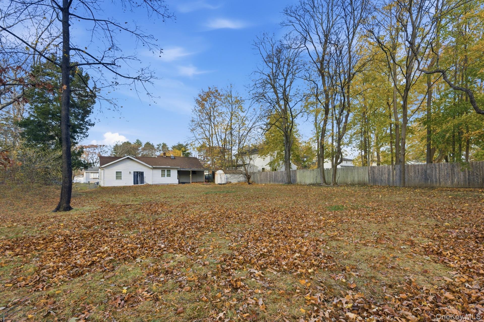36 Ralph Avenue – For Sale photo 5