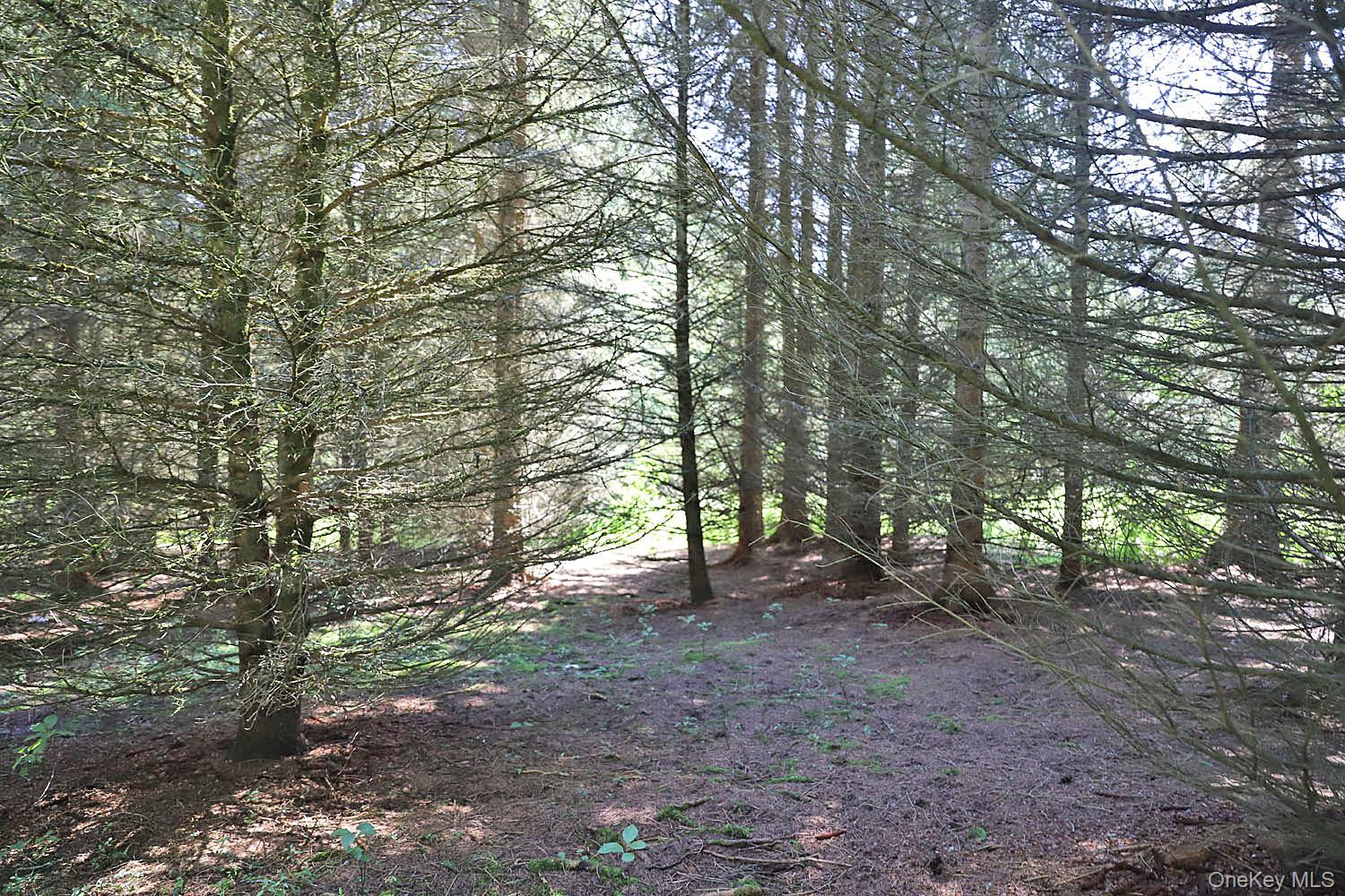 Lot 4A Hurd Road – For Sale photo 14
