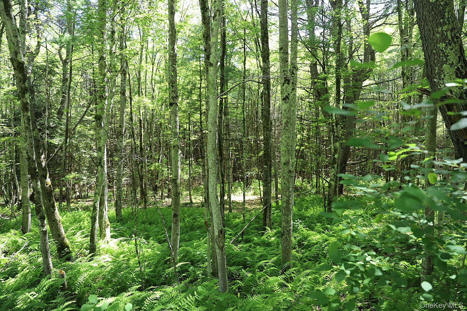 Lot 4A Hurd Road – For Sale photo 8