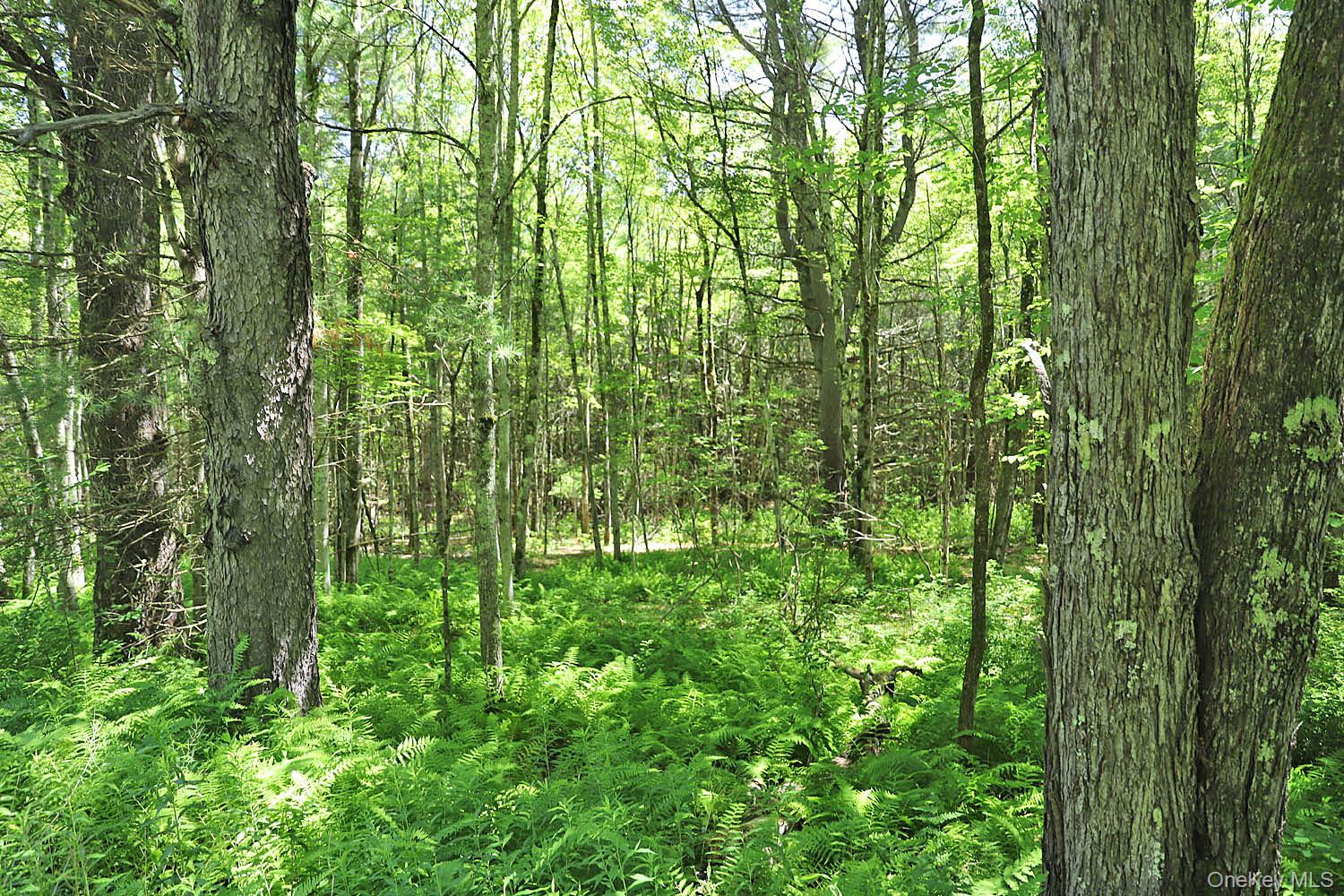 Lot 4A Hurd Road – For Sale photo 3