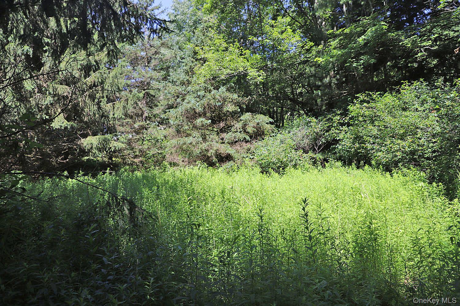 Lot 4A Hurd Road – For Sale photo 13