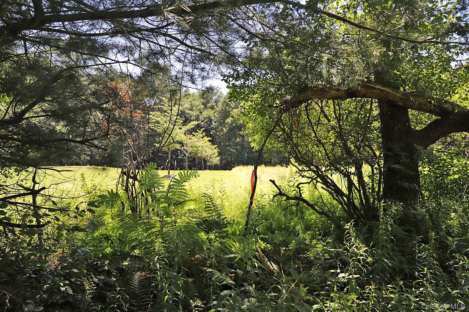 Lot 4A Hurd Road – For Sale photo 2