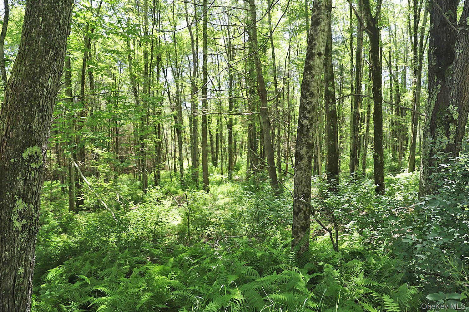 Lot 4A Hurd Road – For Sale photo 12